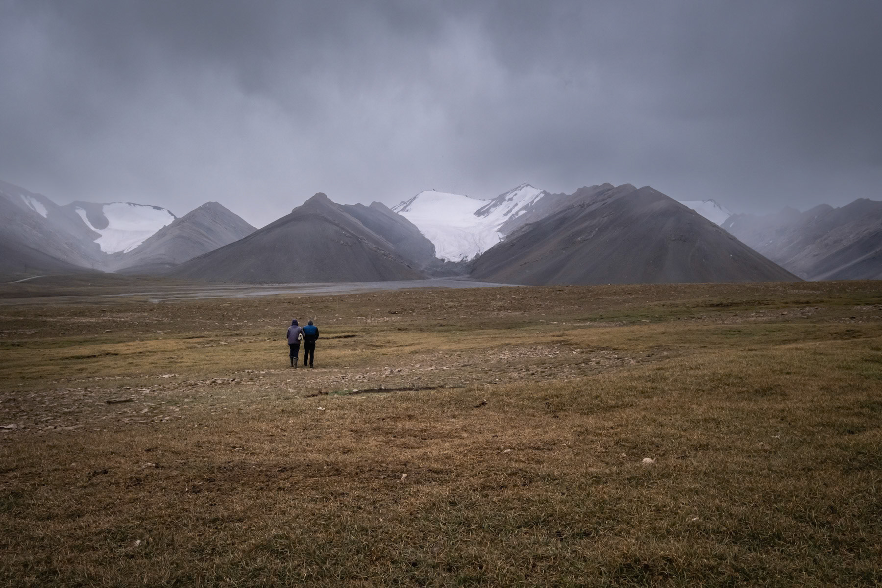 Arabel location at 4,000m altitude where the remains of glaciers are seen on the background. Issyk Kul region, Kyrgyzstan, August 2021
