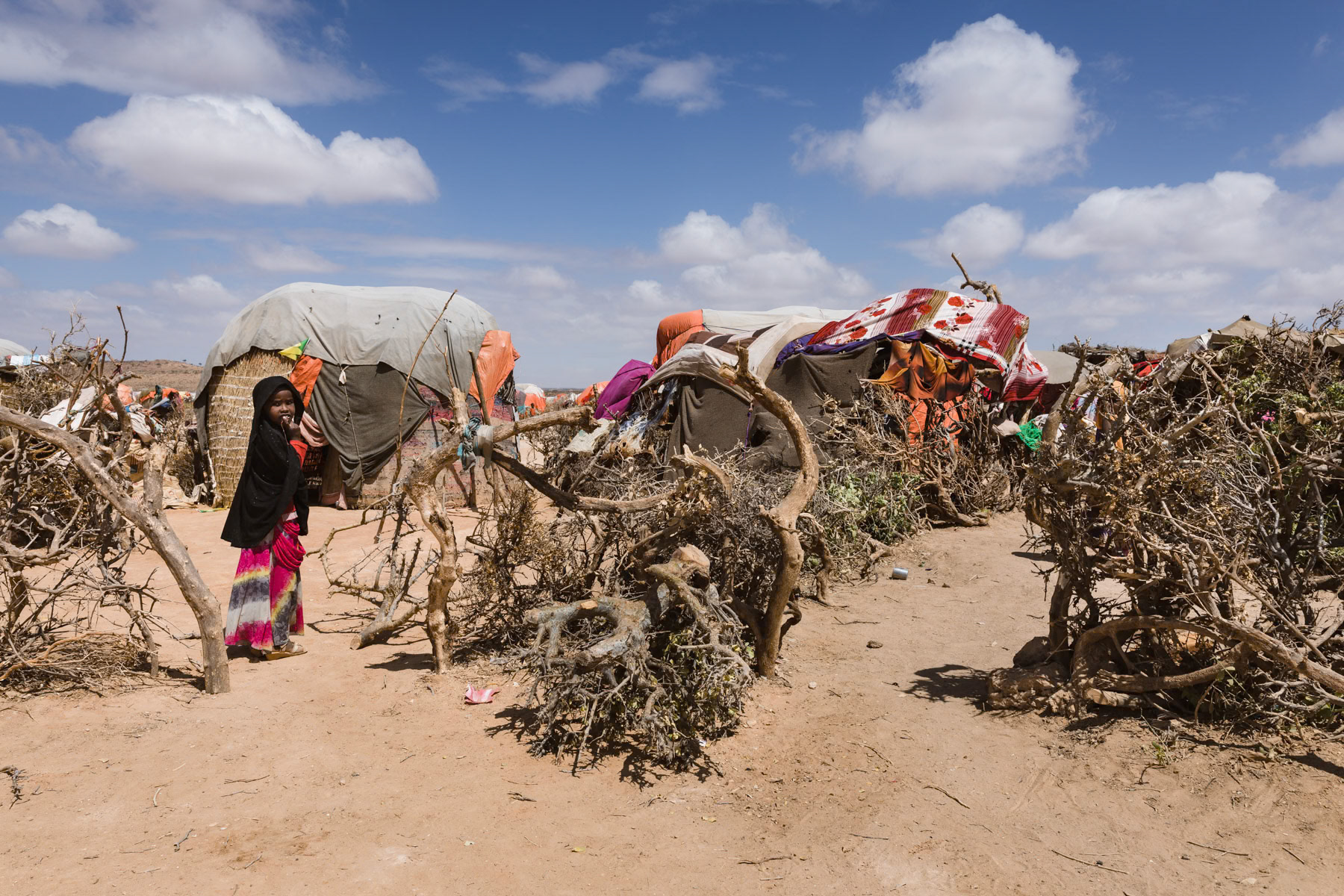 Aynabo camp for displaced pastoralists. With more than 10,000 IDPs, this is the largest camp for climate refugees in Somalia. Once owners of large livestock reserves, the residents of this camp depend now fully on food and water distributions to survive. Up to 80% of livestock has died because of the persistent drought. Aynabo in Saraar Region, Somaliland, October 2017