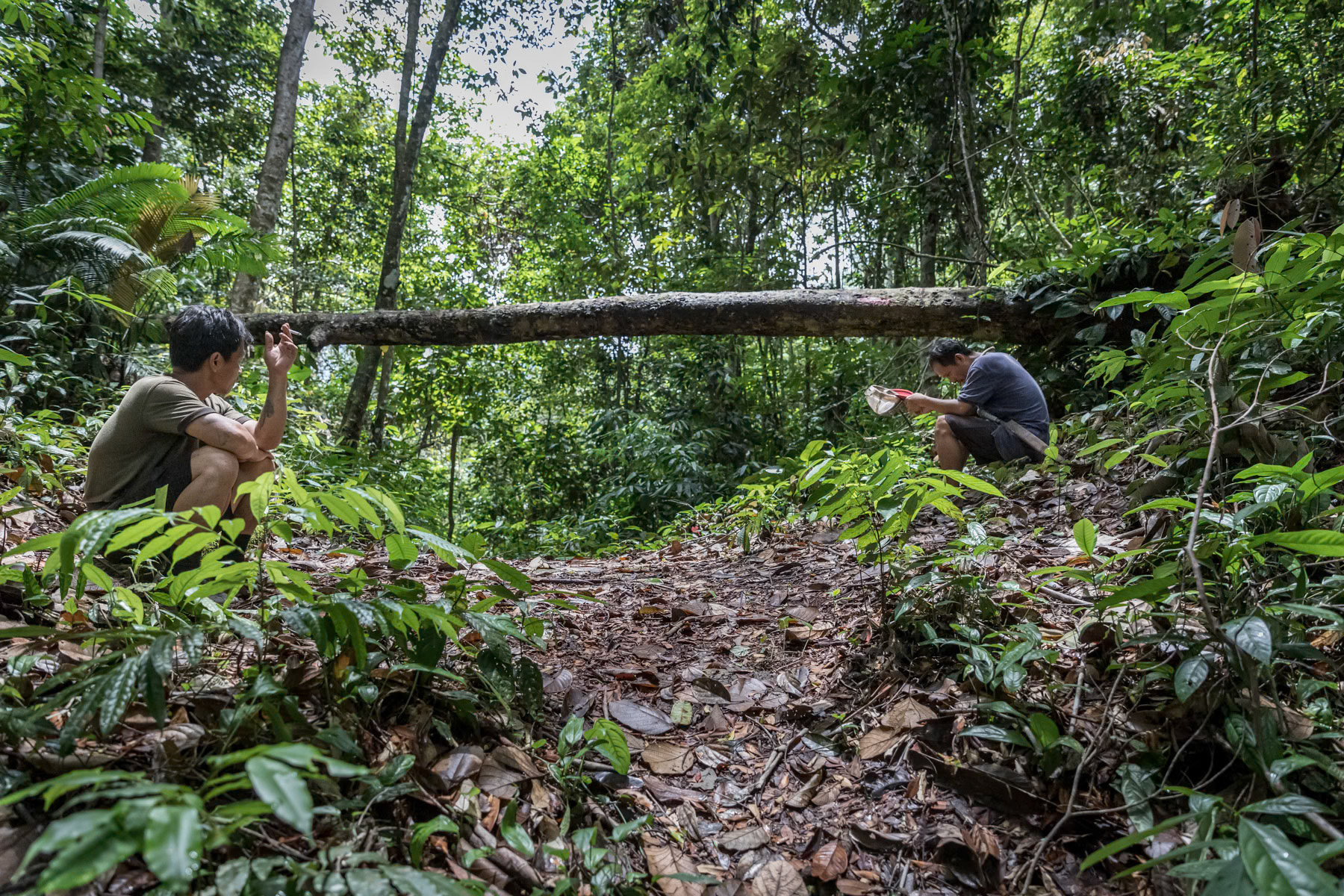 Members of the Orang Ulu or indigenous people from the interior of Sarawak taking a rest deep in the tropical rainforest, where they will spend several days hunting and fruit picking. Sarawak in Malaysian Borneo, Malaysia, February 2020