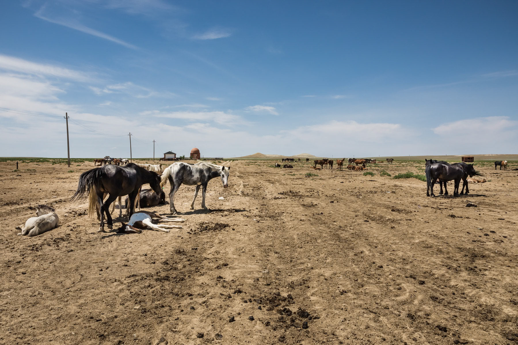 Tracks leading to the Aral Sea. Zhalanash, Kazakhstan, June 2019