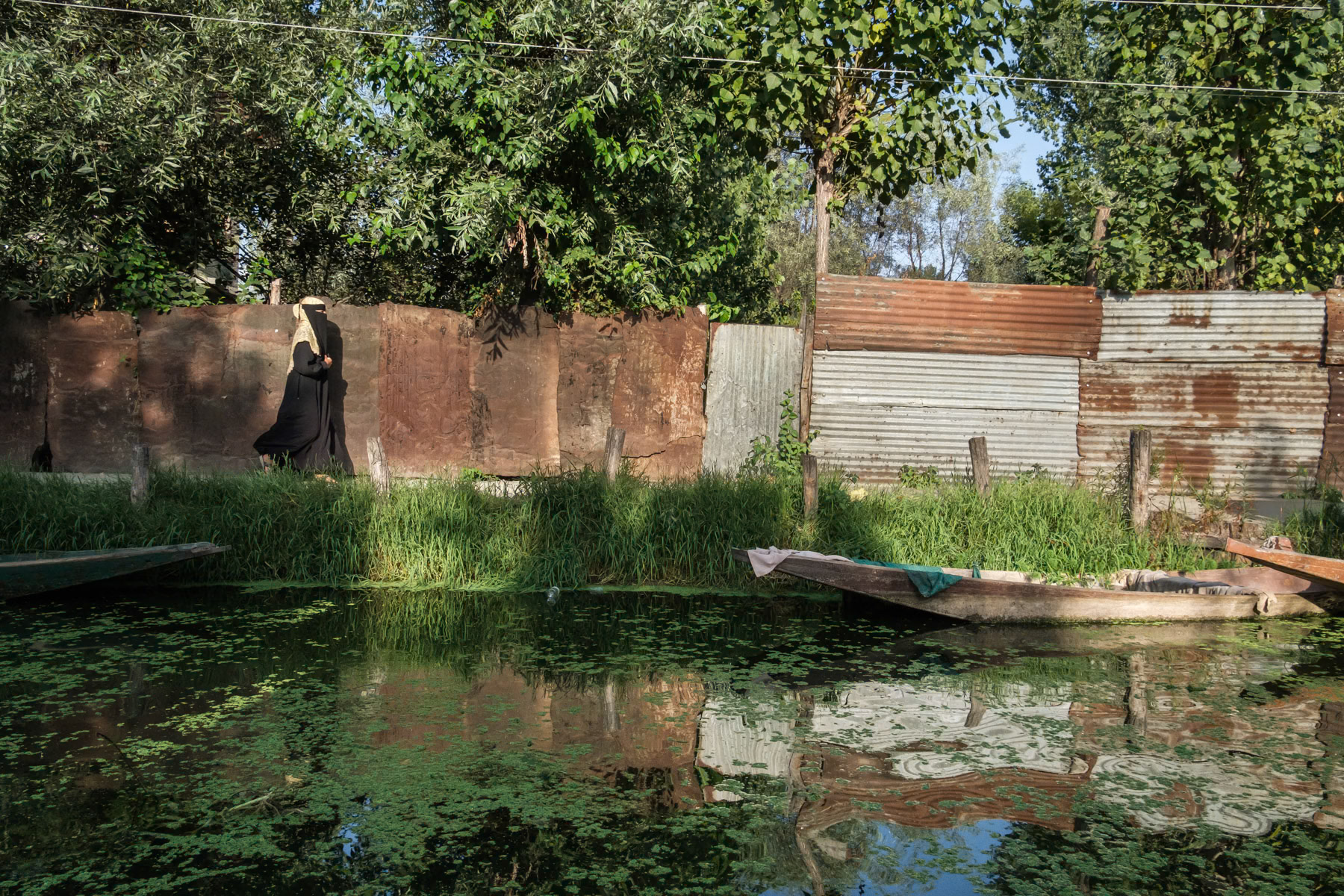 Back waters of Dal Lake in Indian administrated Kashmir, Srinagar, September 2023