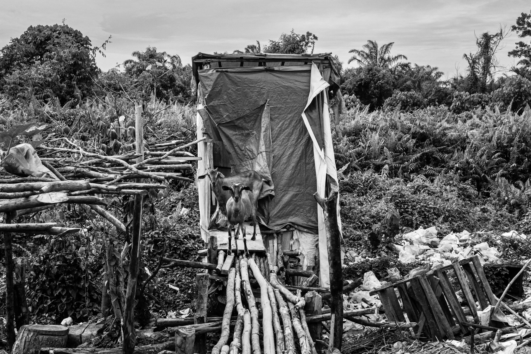 Latrine in a camp, sheltering more than 700 Rohingya people from Myanmar, illustrates the harsh reality after a perilous sea journey: a struggle for survival against inadequate clean water, sanitation, and the ever-present danger of disease. Pekanbaru, Indonesia, October 2025