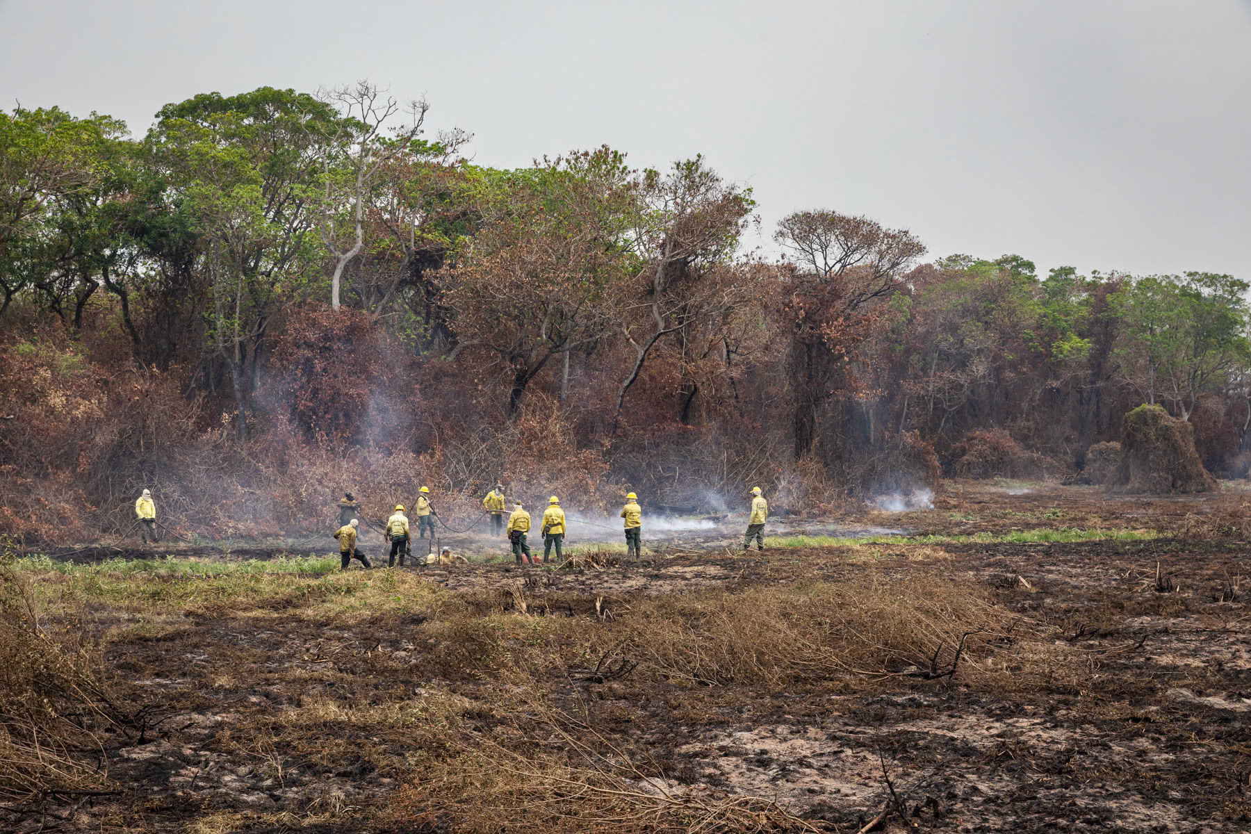 Fires fighters working relentlessly to control the forest fires. The Pantanal natural reserve is the world's largest tropical wetland and flooded grasslands. This essential ecosystem is under severe treat due to cattle ranching, over fishing, poaching and hunting, pollution from mining and agro-industry, tourism infrastructure and forest fires. In late 2020 more than 25% (more than 25,000 km2) of the wetland's fauna was destroyed by wild fires due to climate change and arson. Pantanal, Mato Grosso, Brazil, October 2020