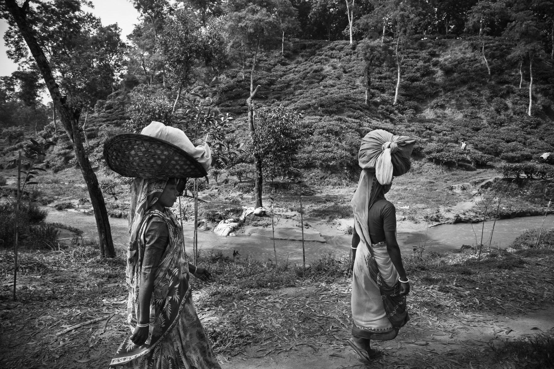 Sylhet, Bangladesh, September 2014