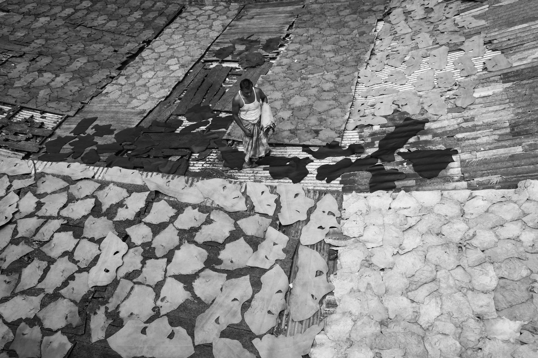 Rooftop drying, Hazaribagh tannery, Dhaka, Bangladesh, October 2014