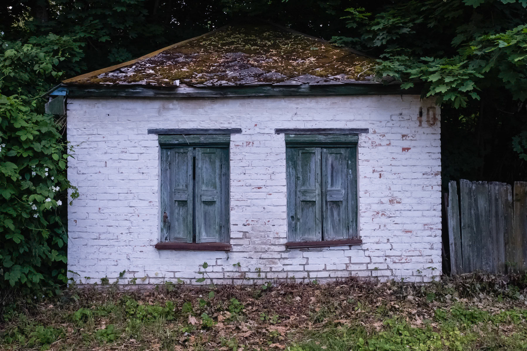 Chernobyl town, exclusion zone, Ukraine, June 2021