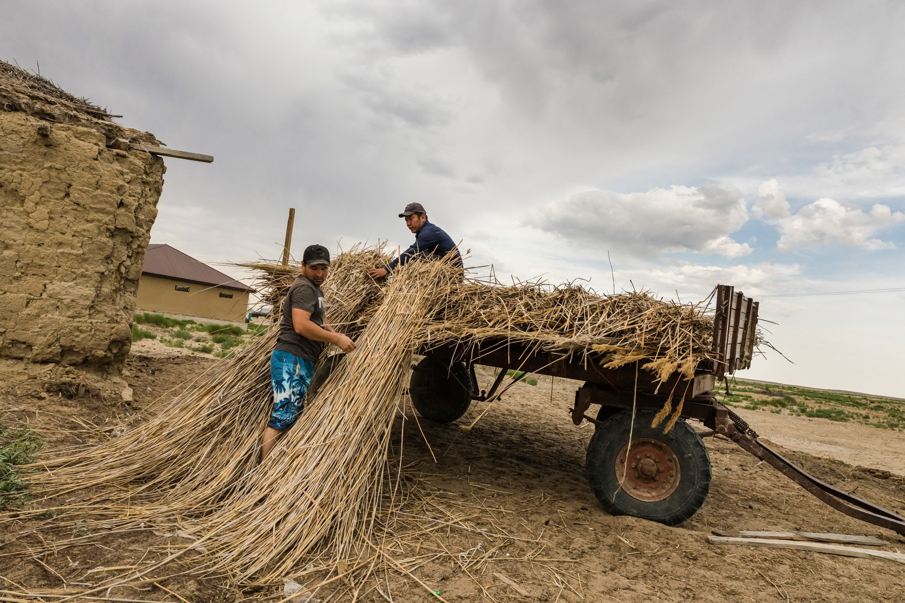 Feed for animals, Tastubek village near the shore of the Aral Sea, Kazakhstan, June 2019