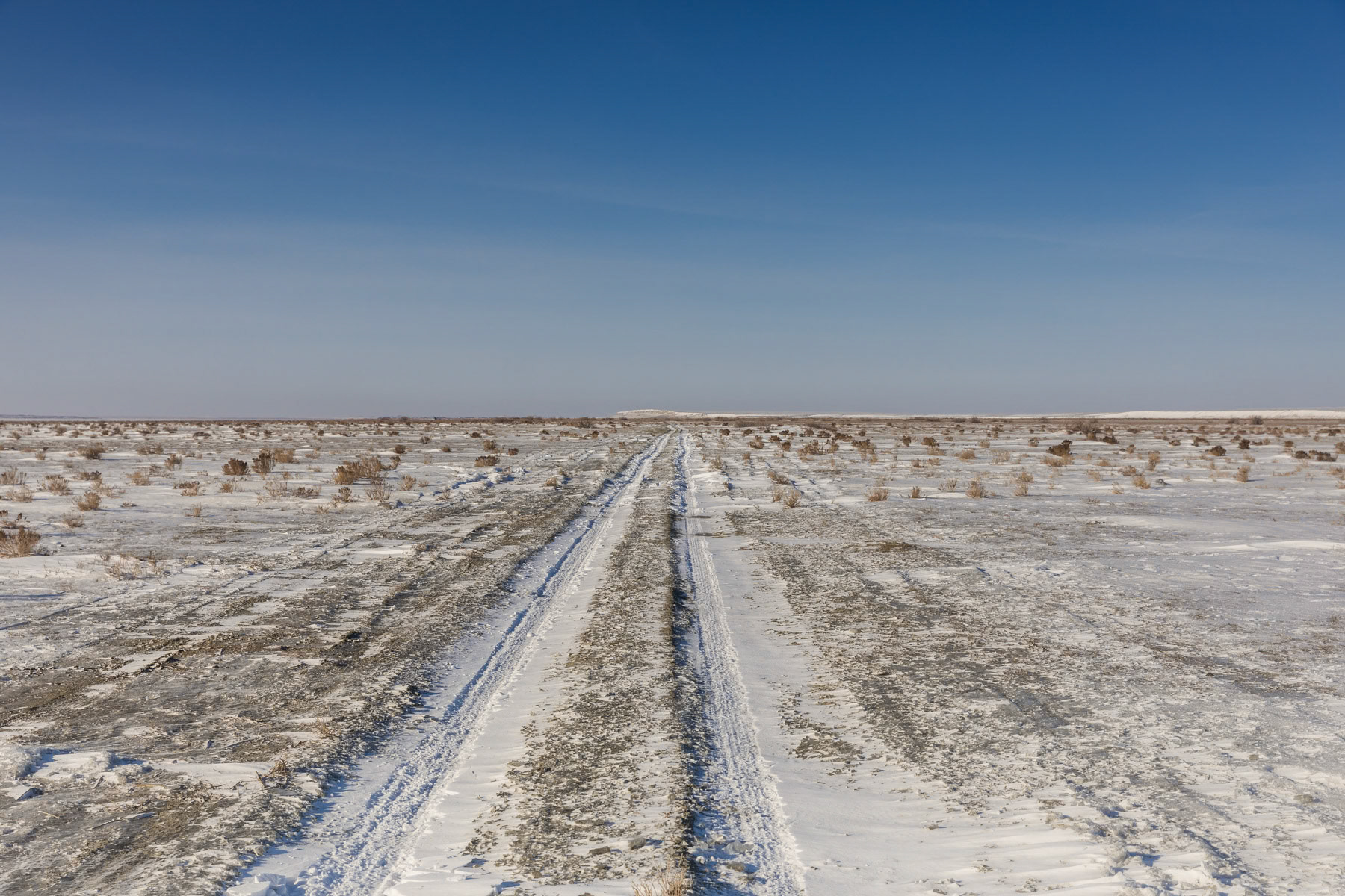 A track on grassland once covered by the Aral Sea. Kazakhstan, January 2019
