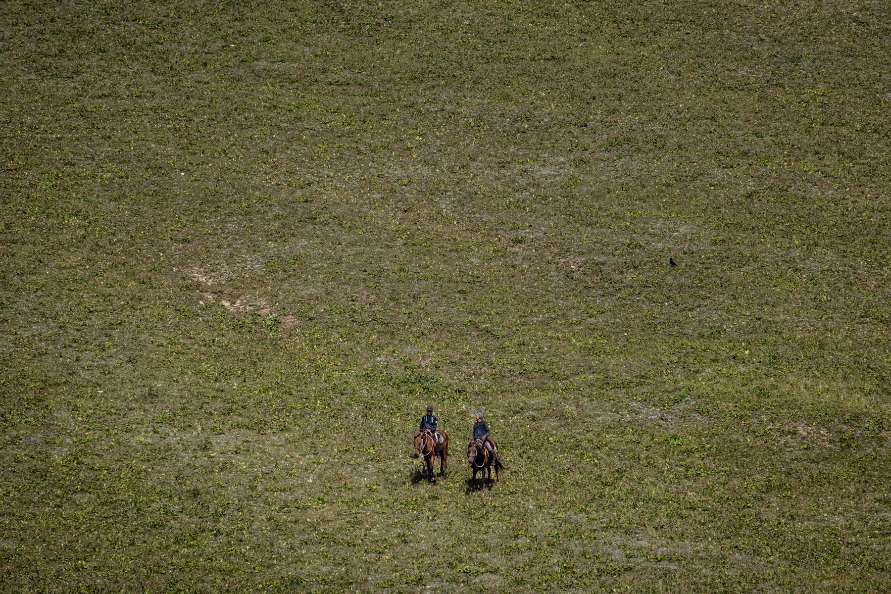 Shepherds reaching high grounds in search of grass for their livestock. Due to recurrent drought increased by climate change and soil degradation due to over grazing, it becomes more difficult to feed livestock even during the summer months when high altitude pastures are accessible. Moldo Ashu Pass, Ak Tal, Naryn region, Kyrgyzstan, August 2021