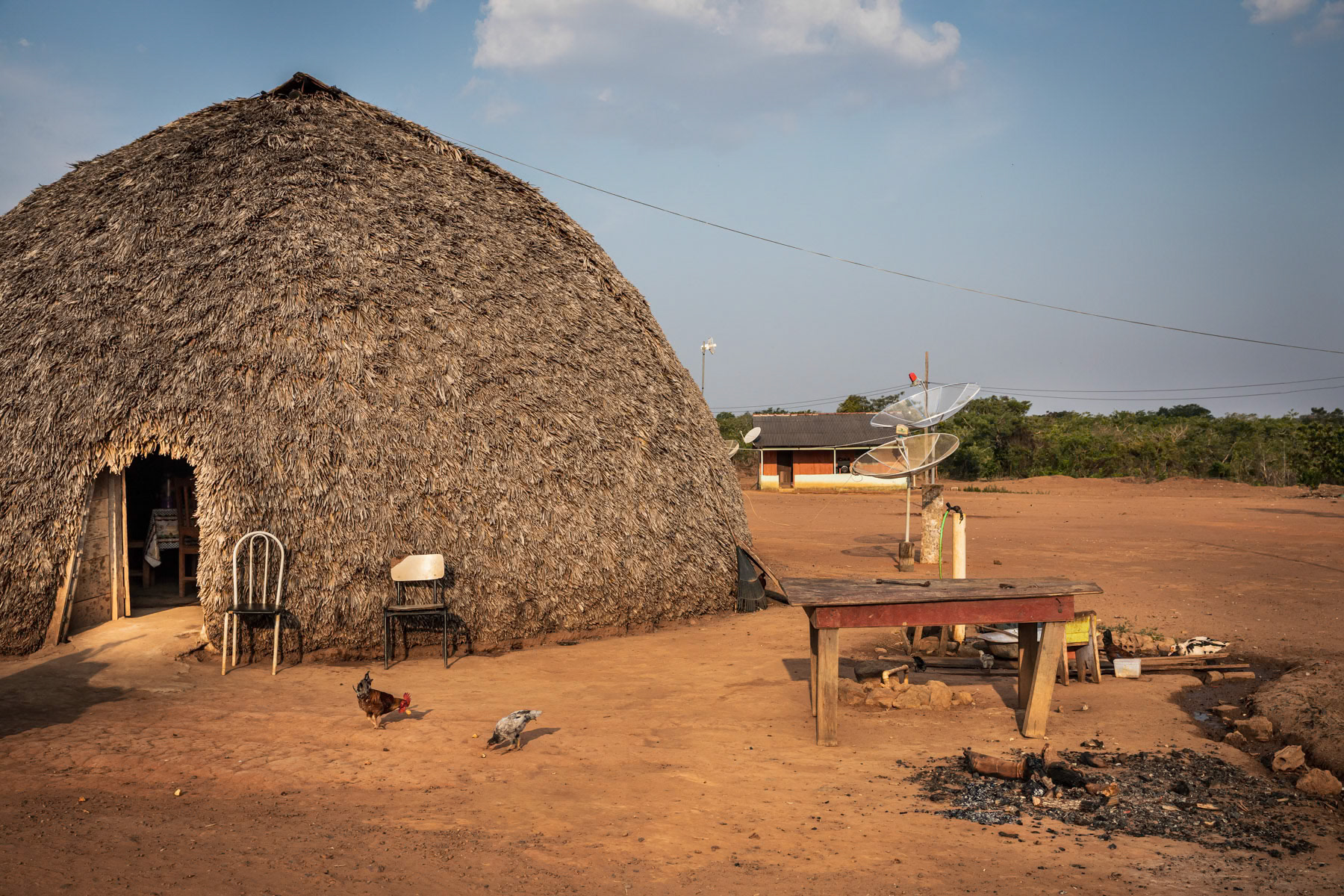Traditional habitat where all generations of a family live under one roof. 42 indigenous settlements are remaining in a protected area of 10000 km2 near Campo Novo Do Parecis, a city build in 1988 at the start of industrial agriculture expansion paired with massive Cerrado forest deforestation and displacement of indigenous people from their lands. Now a protected area, the original indigenous territory has been reduced by more than 75% since the eighties. Protected indigenous area, Campo Novo, Mato Grosso, Brazil, October 2020
