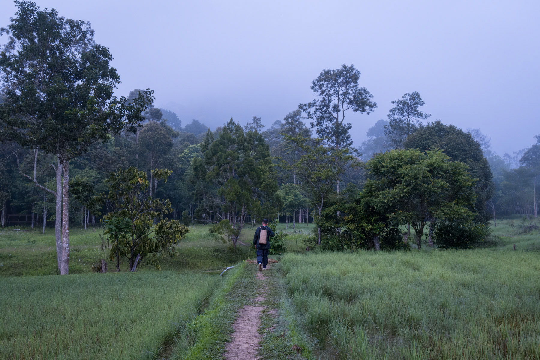 Indigenous highlands in Bario, Borneo, Malaysia, October 2023