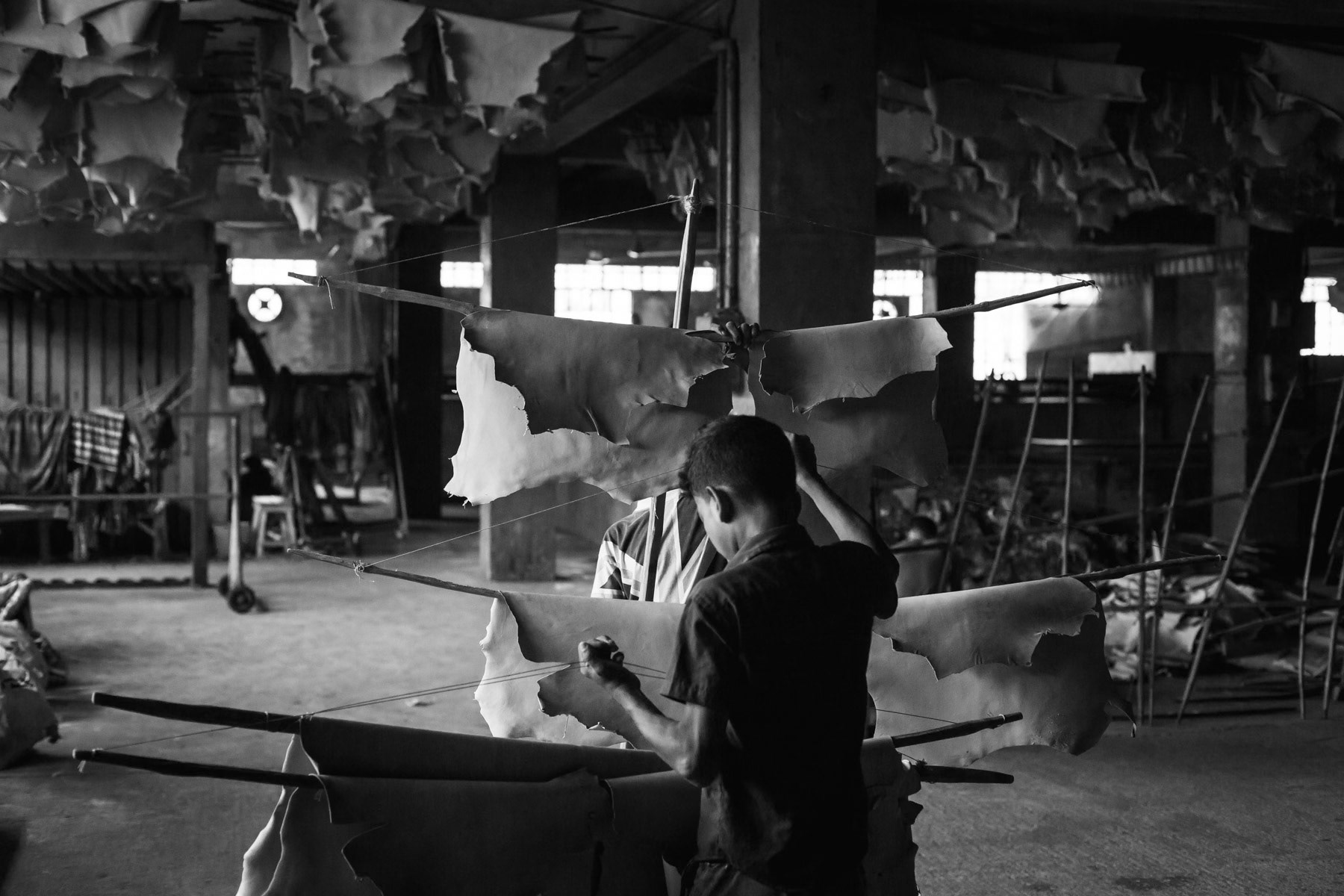 Children working in the skin drying space of the tannery, Hazaribagh, Bangladesh, May 2015