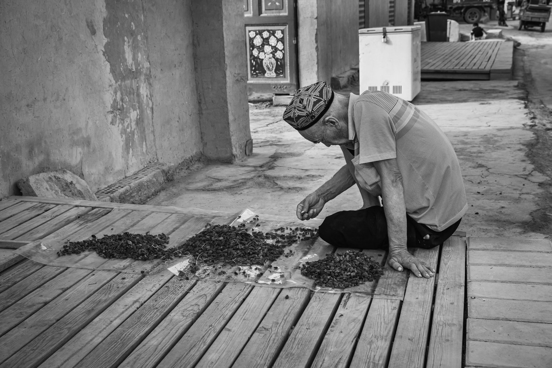 An Uyghur man sorting raisin. Tuyuk village, Turpan District, Xinjiang, China, August 2019