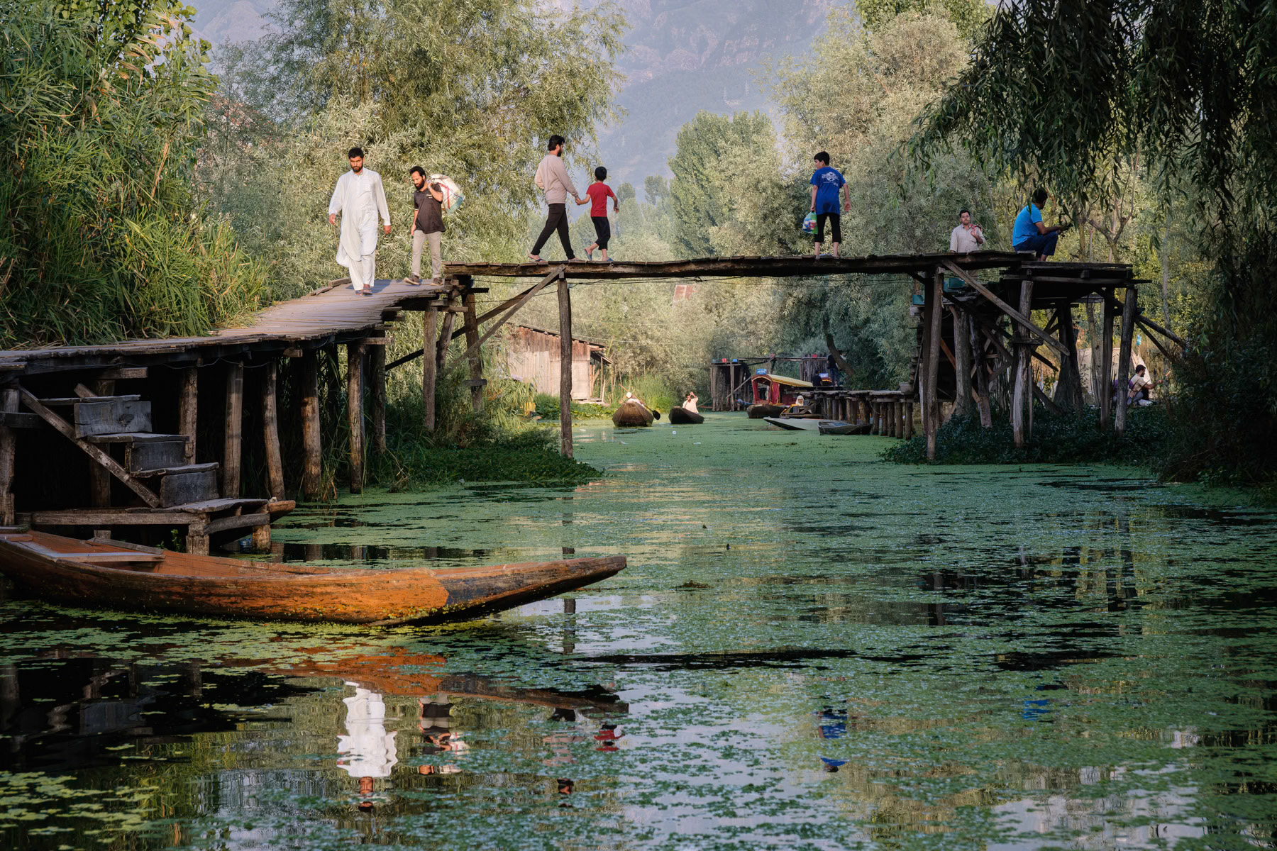 Back waters of Dal Lake in Indian administrated Kashmir, Srinagar, September 2023