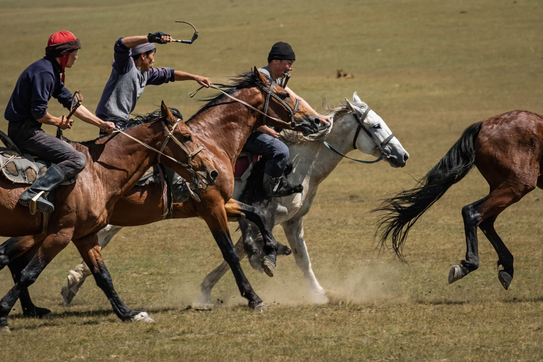 Two teams fighting to take possession of the 'ulak' during a Kok Boru game. The 'ulak' consists of a goat's carcass and needs to be dropped in the opponents' goal in order to mark a point. Son Kul Lake, Kyrgyzstan, August 2021