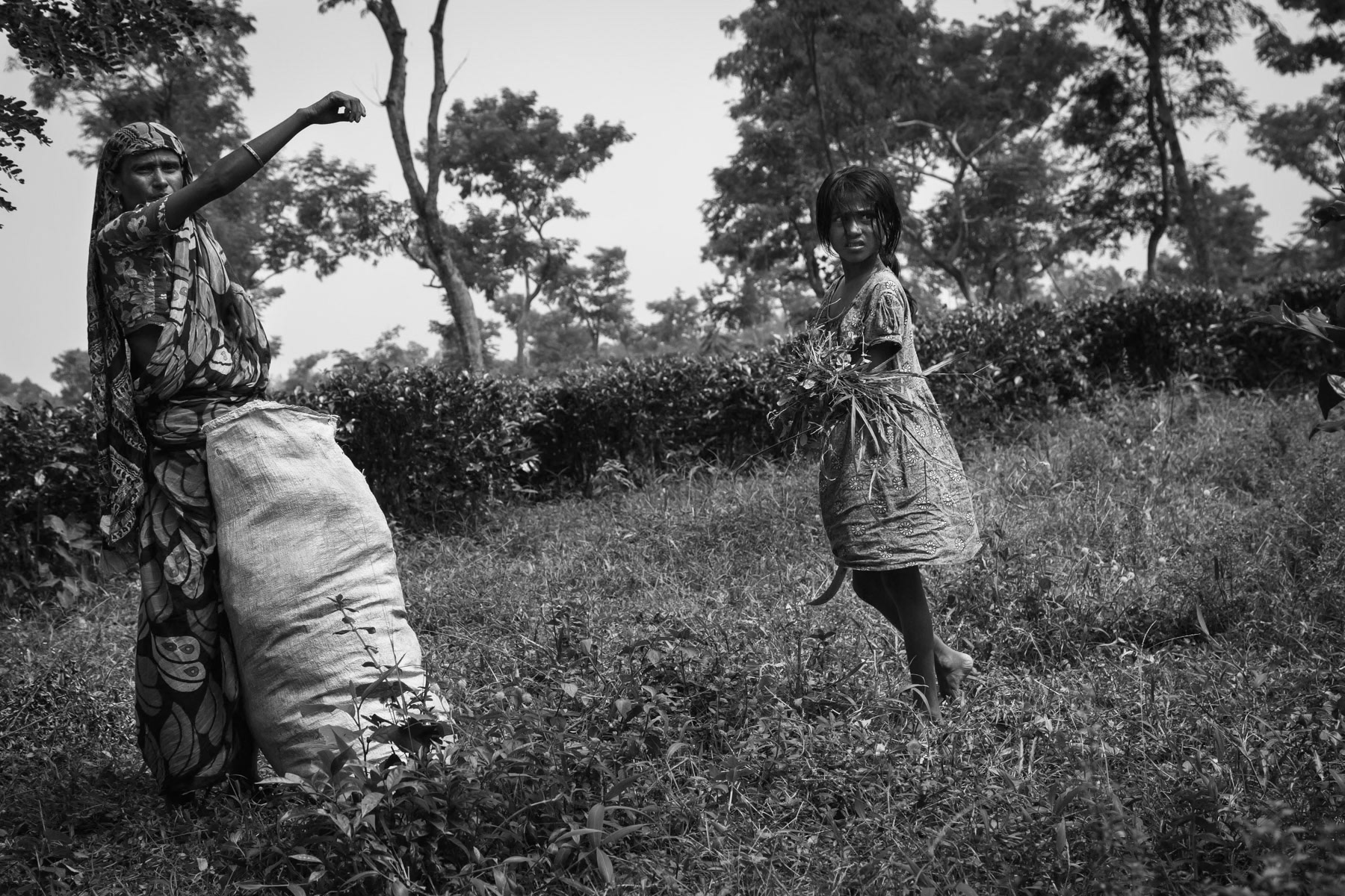 Mother and child maintaining tea fields, Srigobindopur village, Bangladesh, September 2014