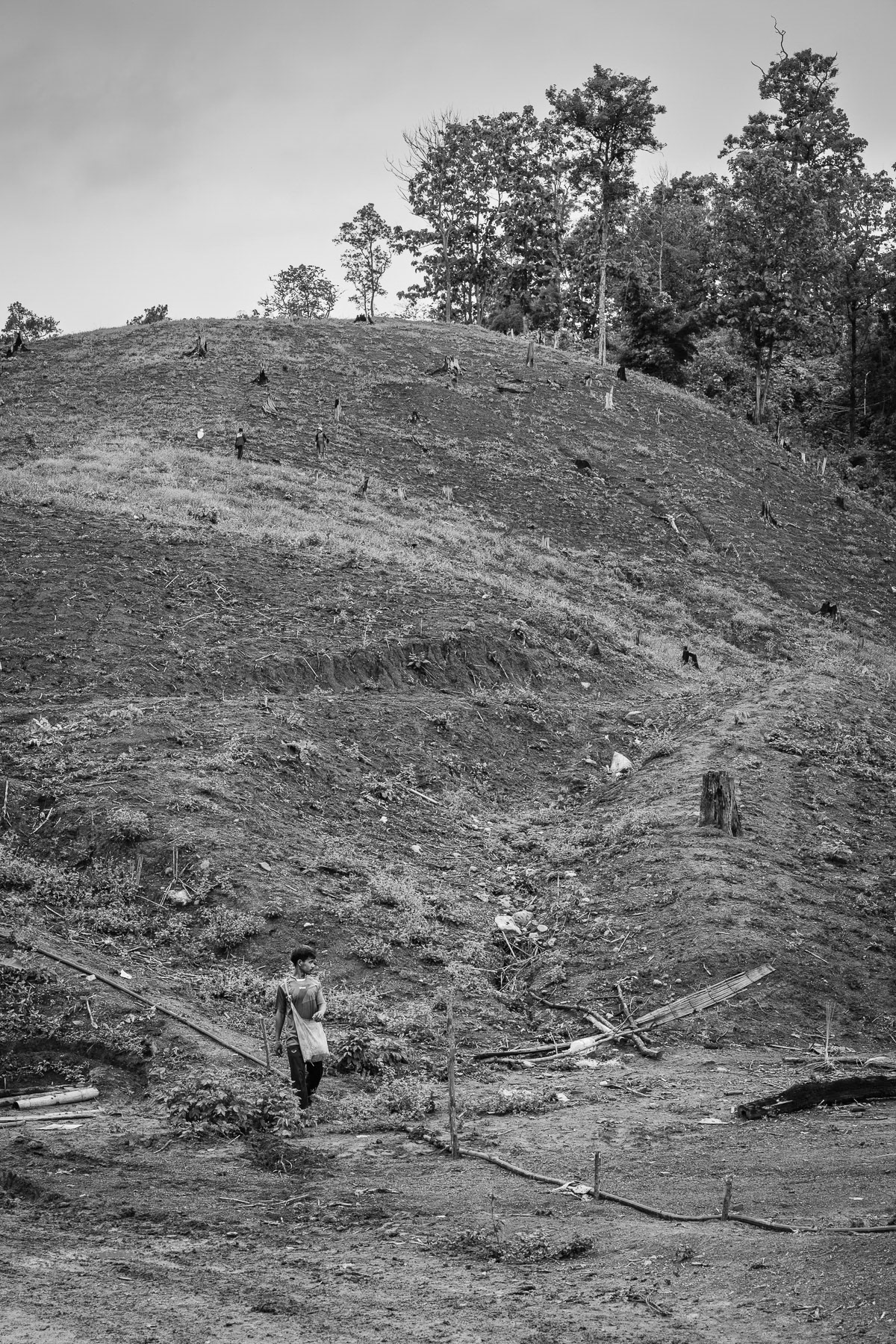 Karen displaced families work to establish agriculture on a cleared hillside. Htaw IDP camp in Kanele, Karen State, Myanmar, May 2025