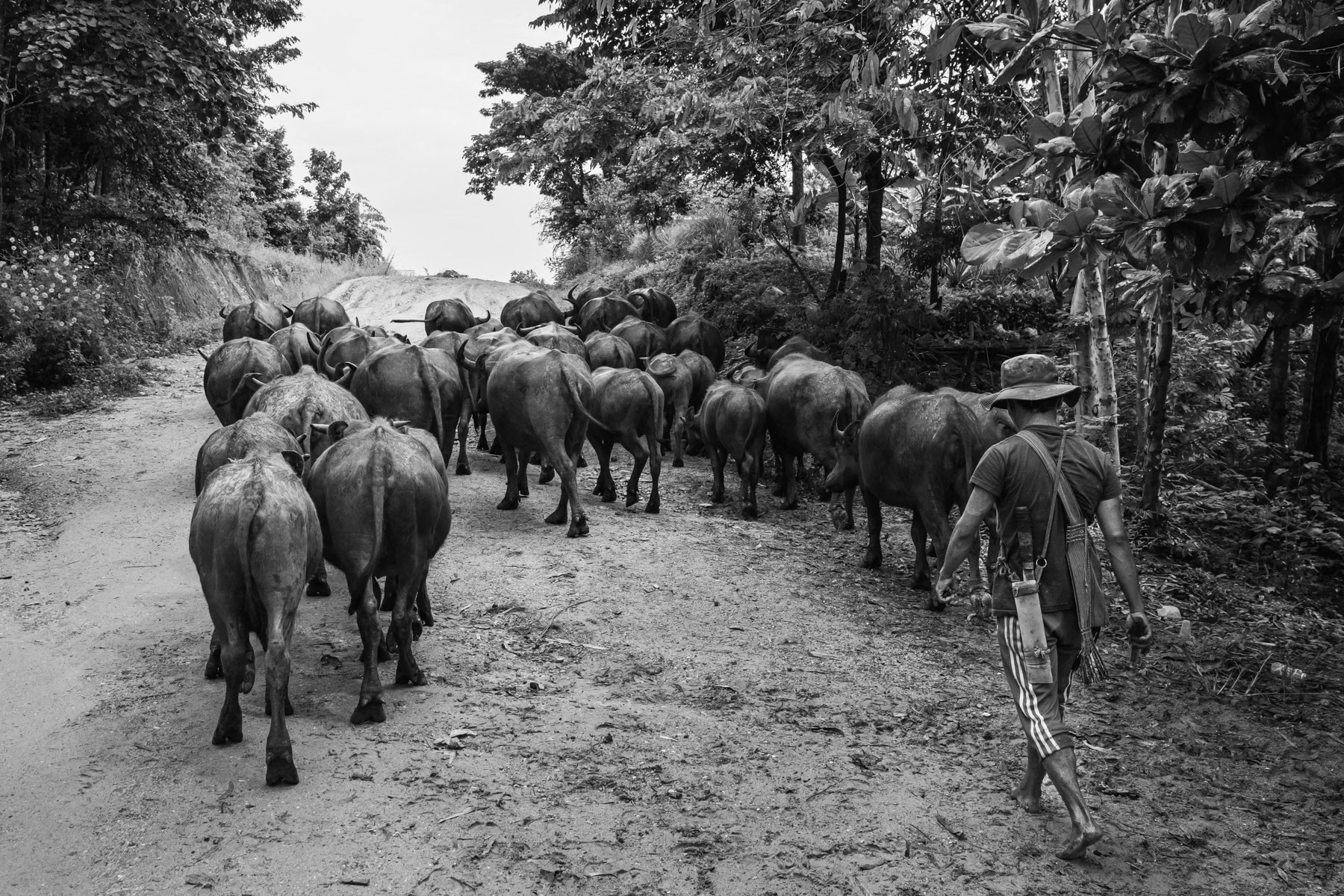 Oo Poe Hta village, Kayin State, Myammar, September 2023