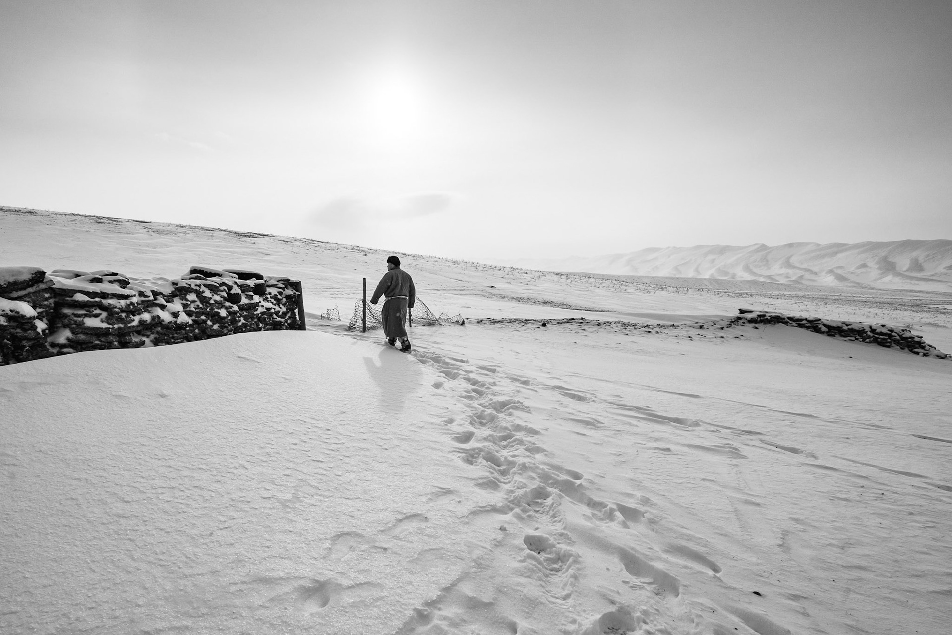 A lone herder treks across the frozen pasture, highlighting the isolation of the winter camps. Gobi desert, Mongolia, December 2025