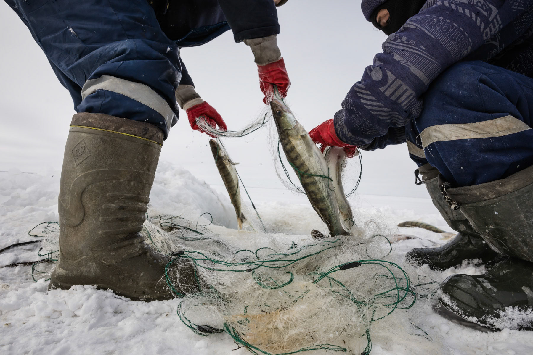 Fishermen fetching the catch. Aral Sea, Kazakhstan, January 2019