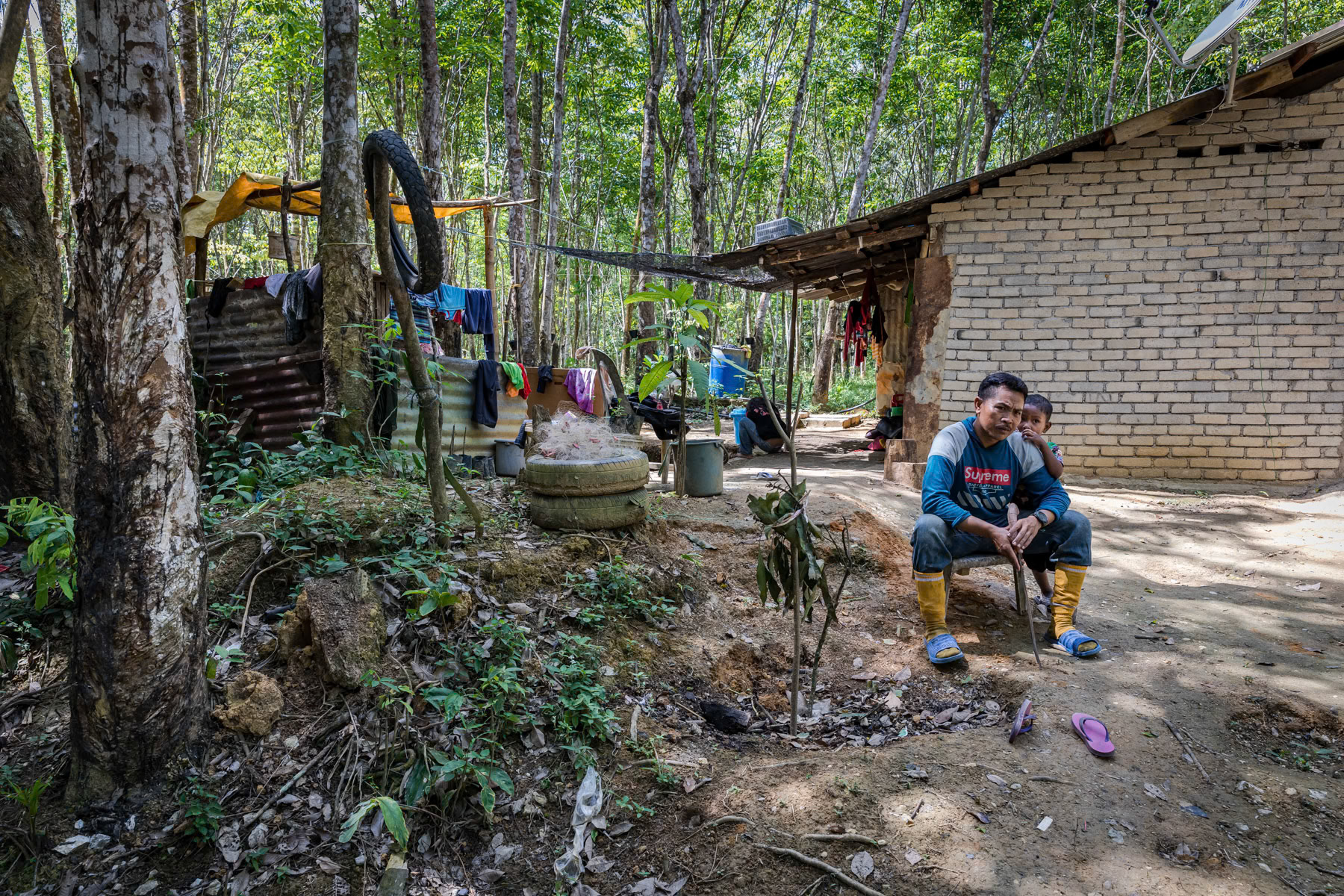 Orang Asli, indingenous people of the Bateq community. Bateq people are originally hunters living with and in the tropical rainforest. During the past decennia mine exploitation, logging and widespread palm oil plantations have severely jeopardized their way of life and livelihood. Through re-settlement projects they are mostly living in small community clusters at the edge of the rainforest. Pecah Keljbi settlement, Merapoh, Pahang, Malaysia, February 2020