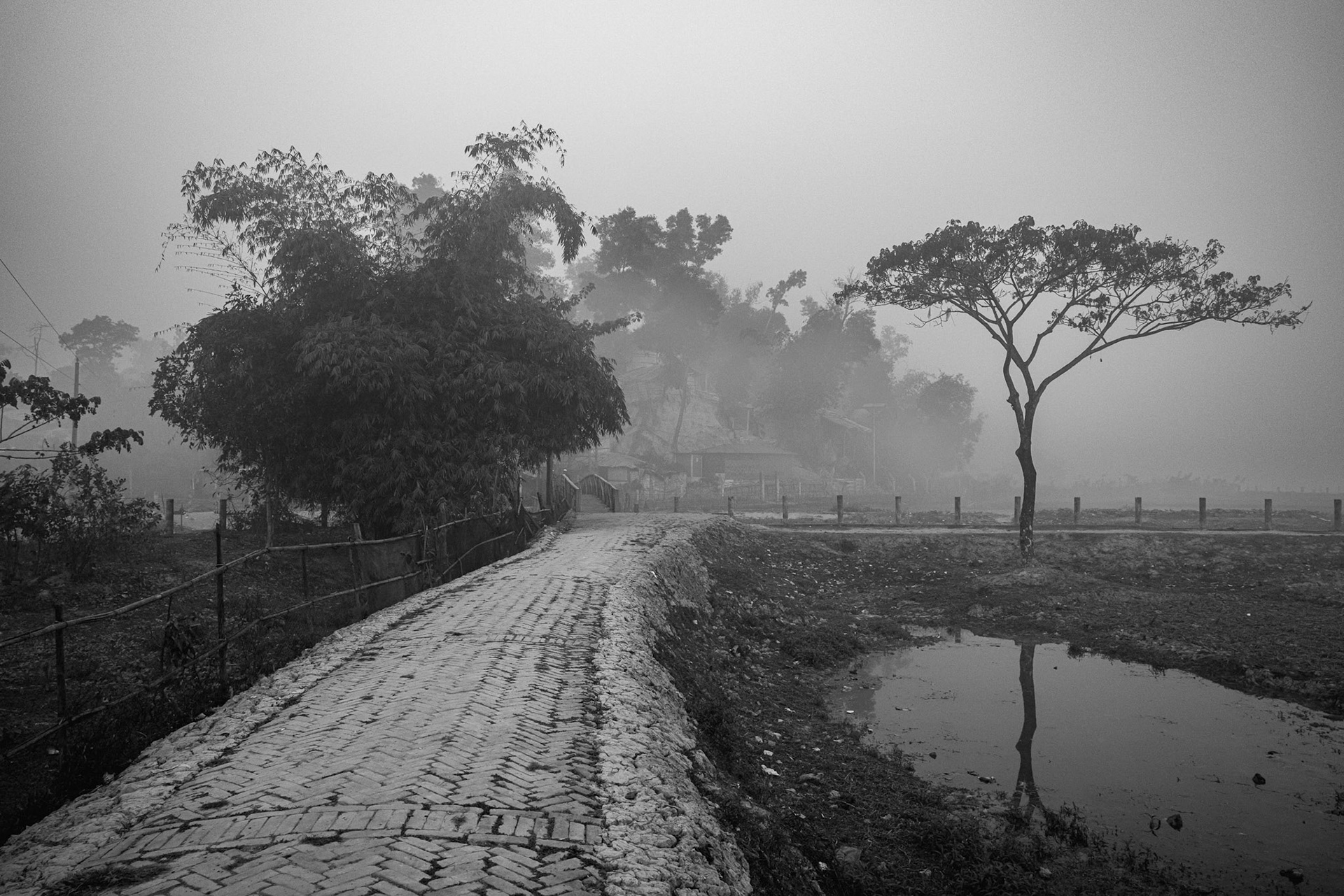 A brick road leading toward the camp's edge. Despite the serene morning mist, these boundaries mark the limit of life for a community that remains stateless and unable to return home safely. Balukhali camp, Bangladesh, January 2026