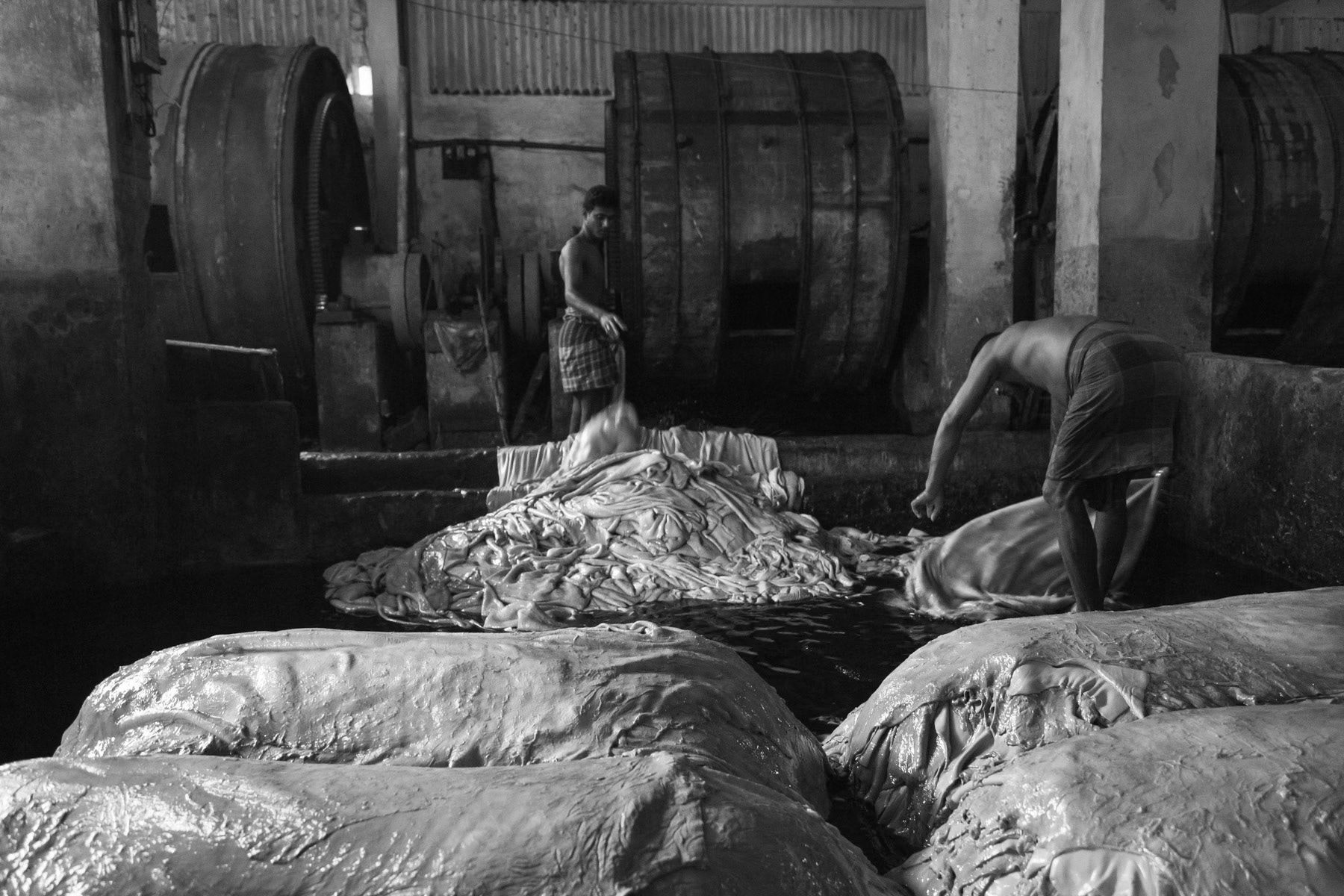 Soaked skins before being processed into leather, Hazirabagh, Bangladesh, October 2014