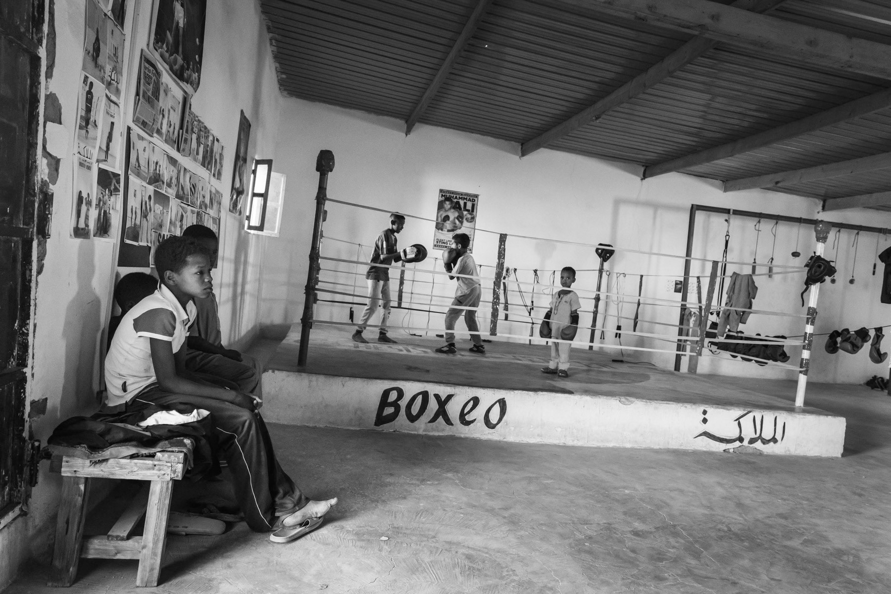 Boxing club for the Saharawi youth of Smara refugee camp. Tindouf, Algeria, December 2019