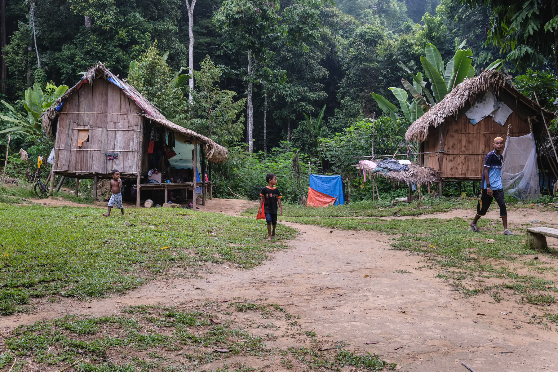 A small Bateq village on the edge of the Taman Negara Rainforest. The Bateq are an indigenous tribe of this part of Malaysia. Their usual habitat is the rainforest where they used to live and hunt most of the time. During the past decades they have been gradually moved towards new settlements around the rainforest for better access to schools and healthcare. This has however disturbed fundamentally their traditional way of life. Orang Asli village, Kuala Tahan, Malaysia, June 2023