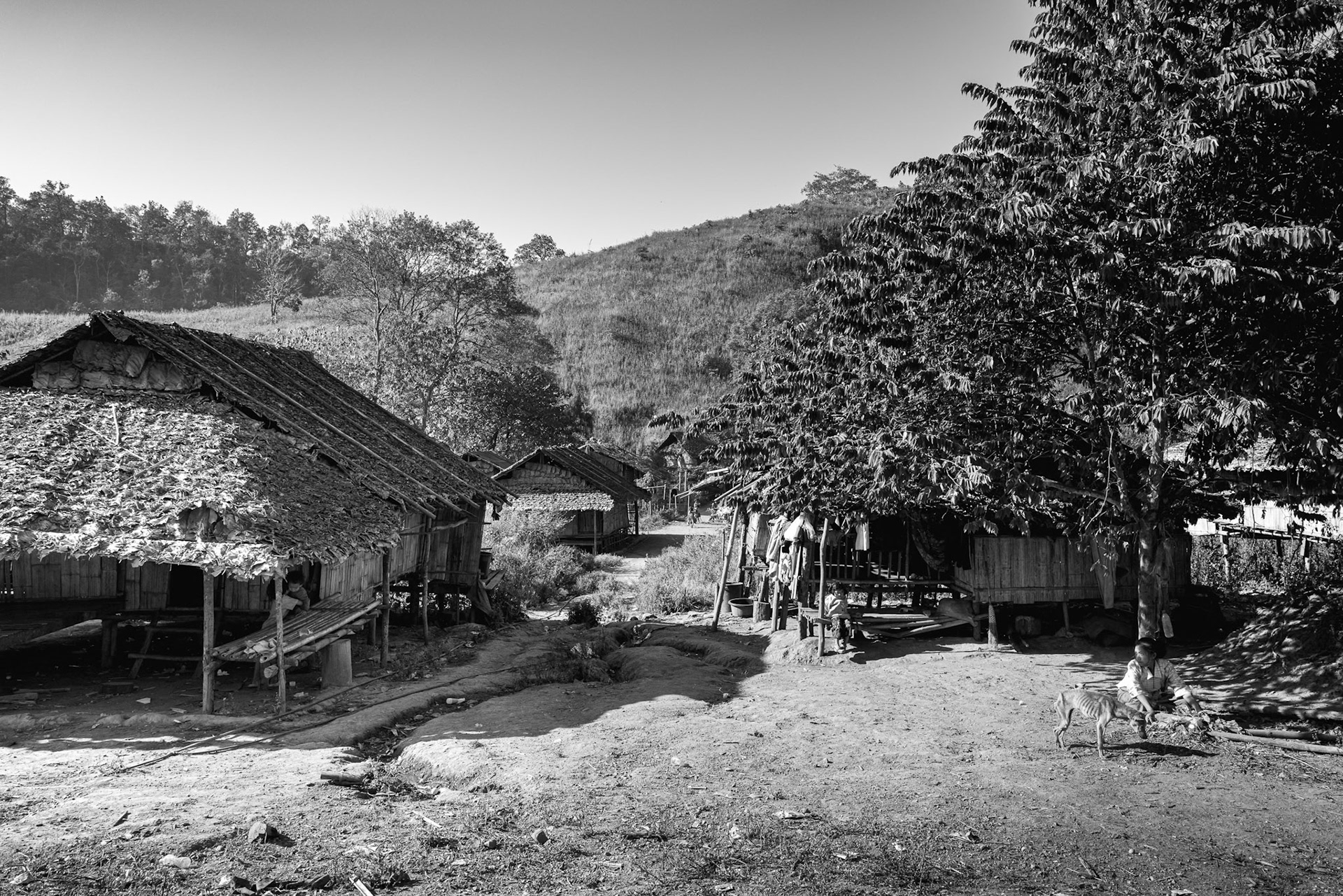 The sun sets over the thatch roofs of Kanele Htaw. As the conflict in Myawaddi Township intensifies, these camps become the final stand for thousands of Karen people seeking refuge from the junta’s air campaign. Kayin State, Myanmar, January 2026