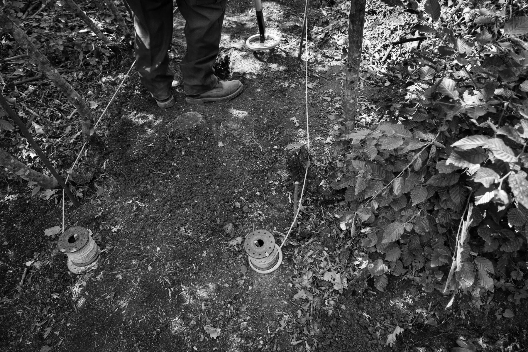 A slow and meticulous process of clearing a path through the forest. The HALO Trust at work, Khramort minefields, Nagorno-Karabakh, July 2014