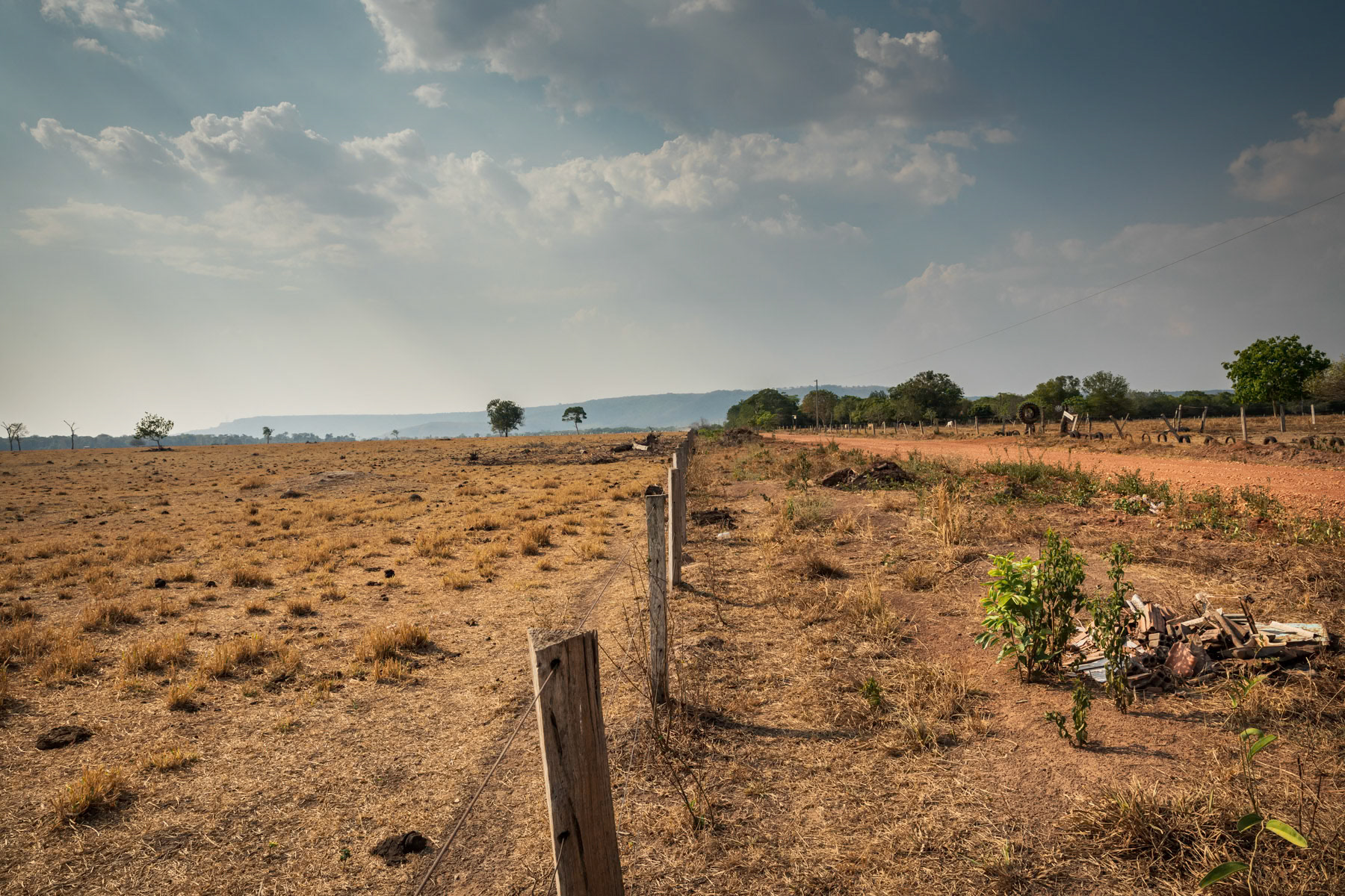 Deforested lands for cattle farming. Affected by accute water shortages only an average of one cow per hectare can be kept. Those small scale farms for local standards are in average 20 hectares. Barreirão near Nortelândia, Mato Grosso, Brazil, September 2020