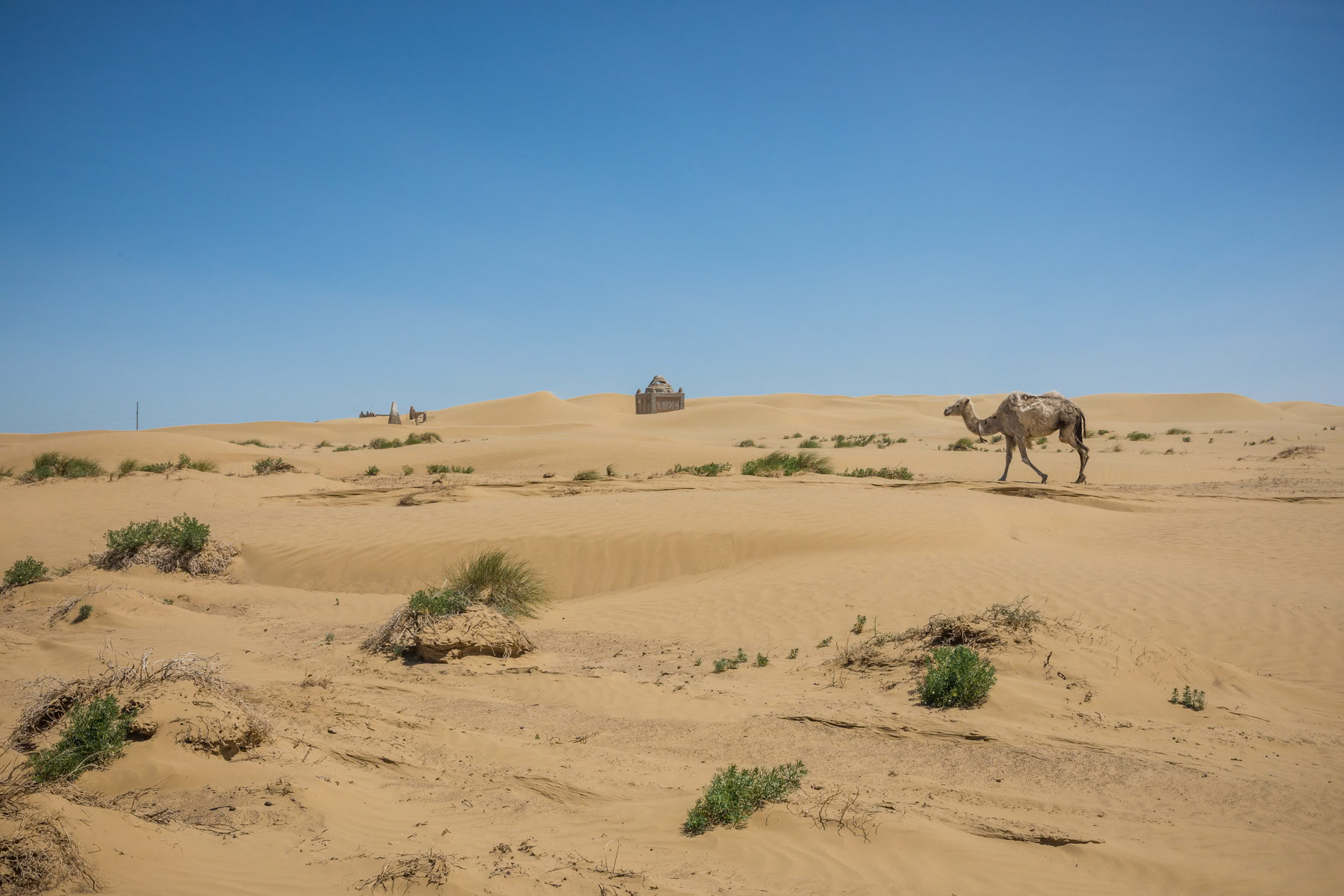 The level of desertification is really apparent when snow and ice have made place for the desert that replaced large parts of the Aral Sea, Kazakhstan, June 2019