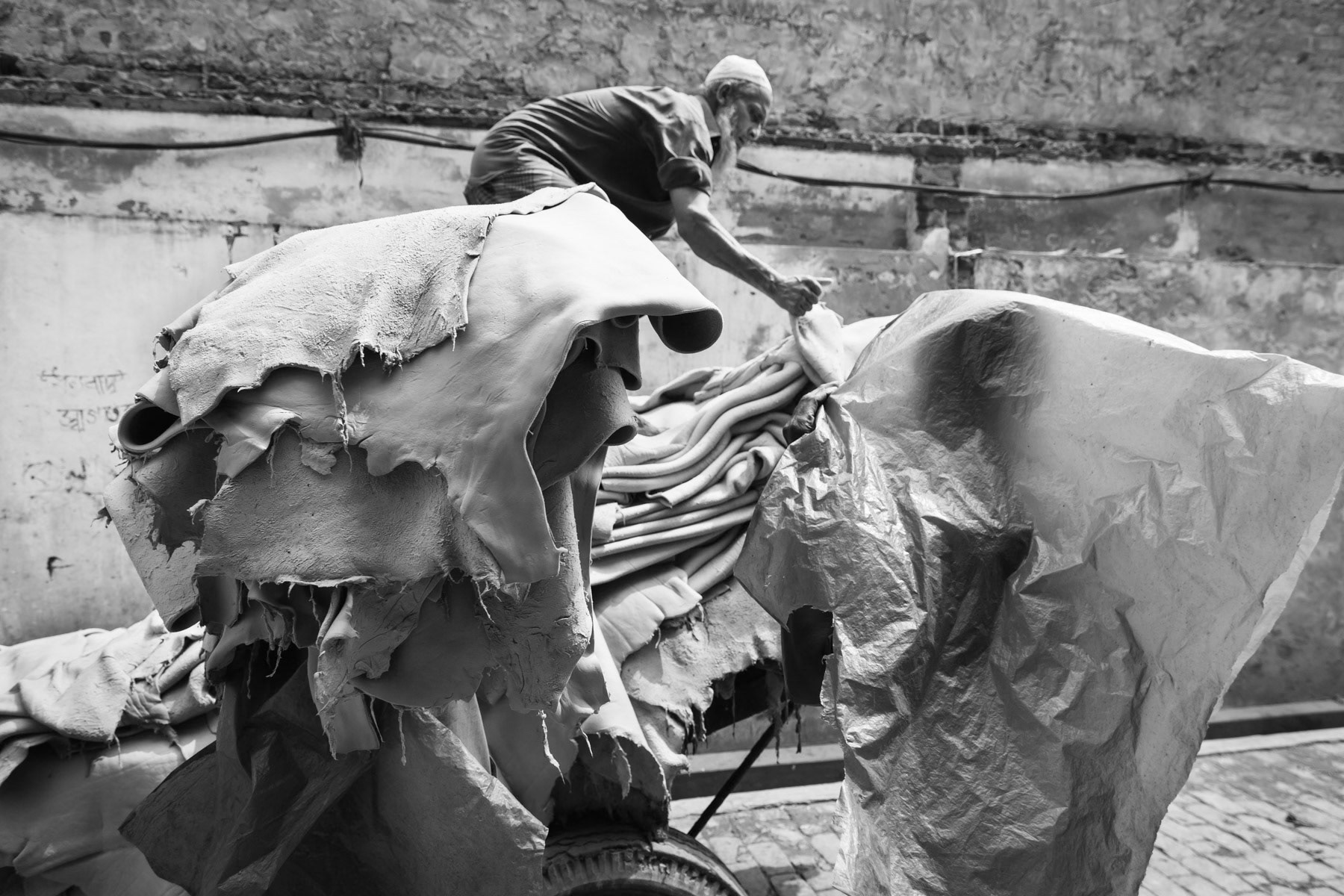 Skin delivery at a tannery for further treatment, Hazirabagh in Dhaka, Bangladesh, October 2014
