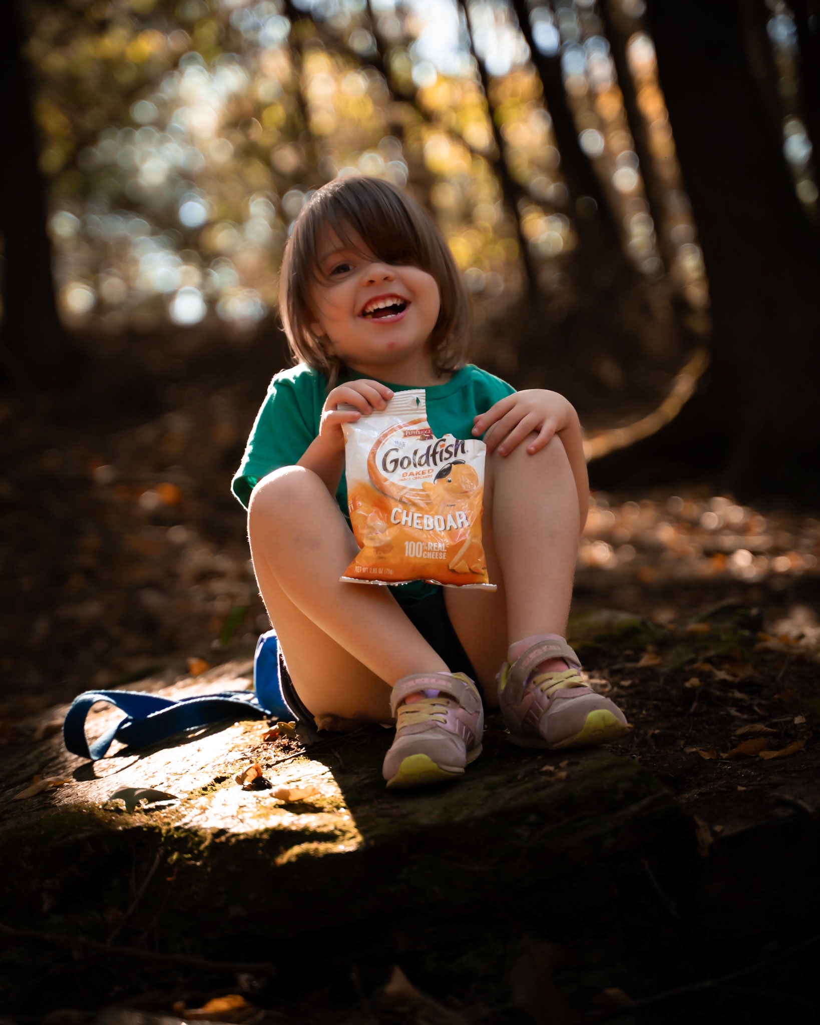 To a snack break in the forest