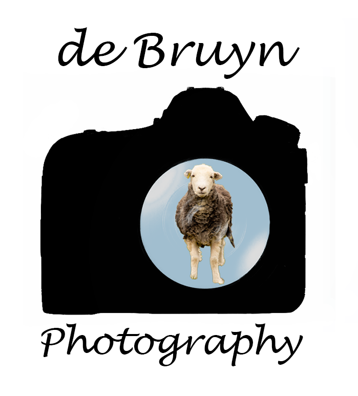 John de Bruyn