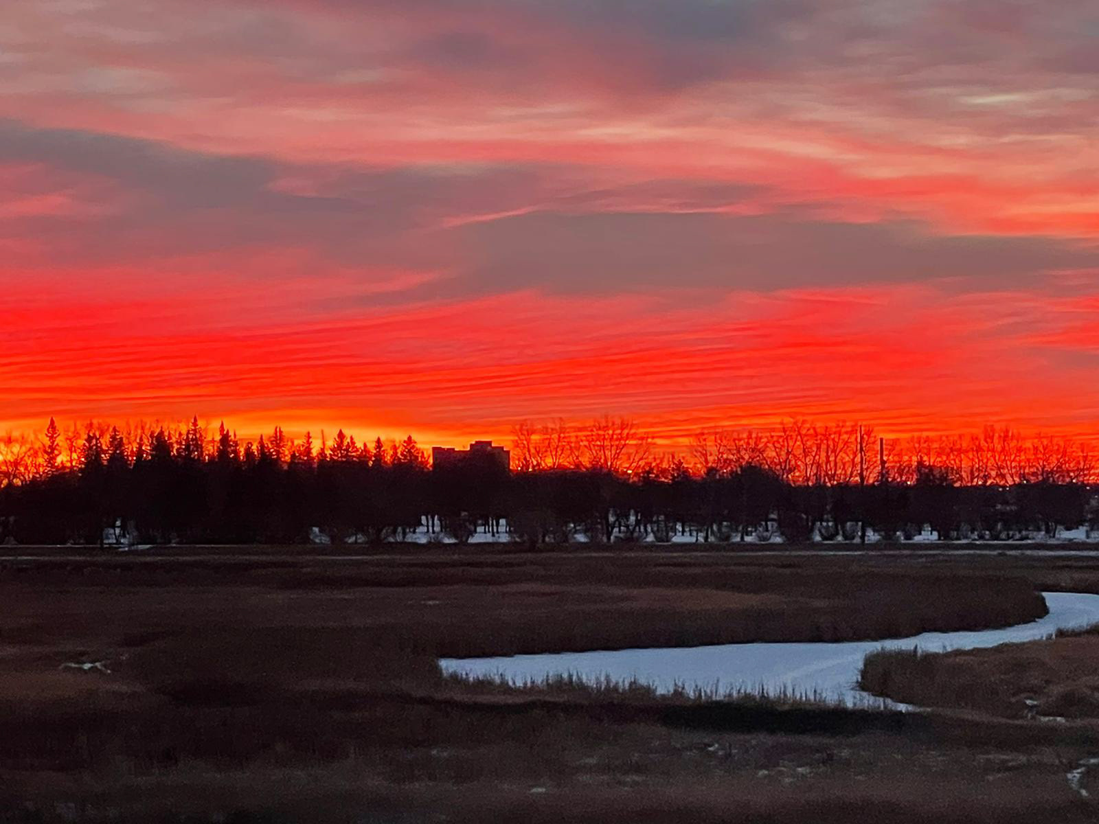 Walks along the creek photo by Ted Saczek