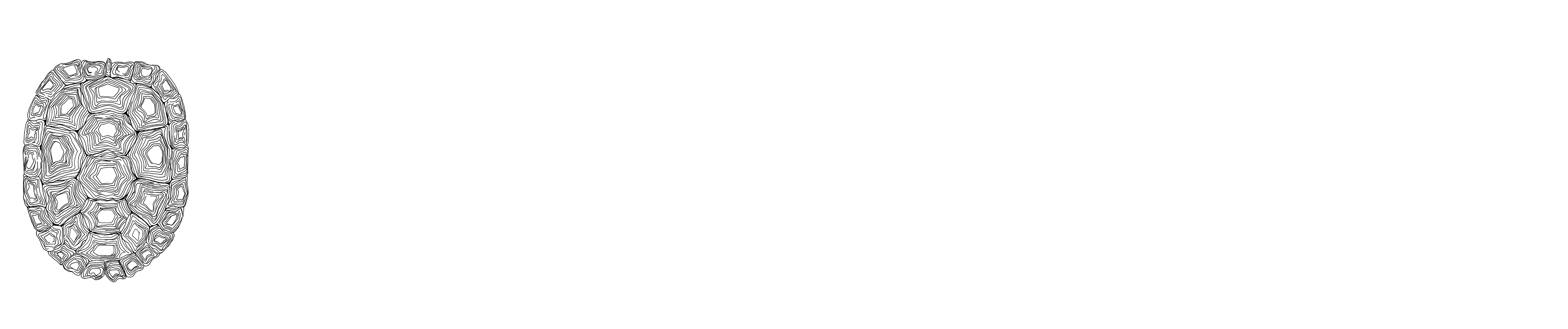 BLΛCK ΛRCHITECT