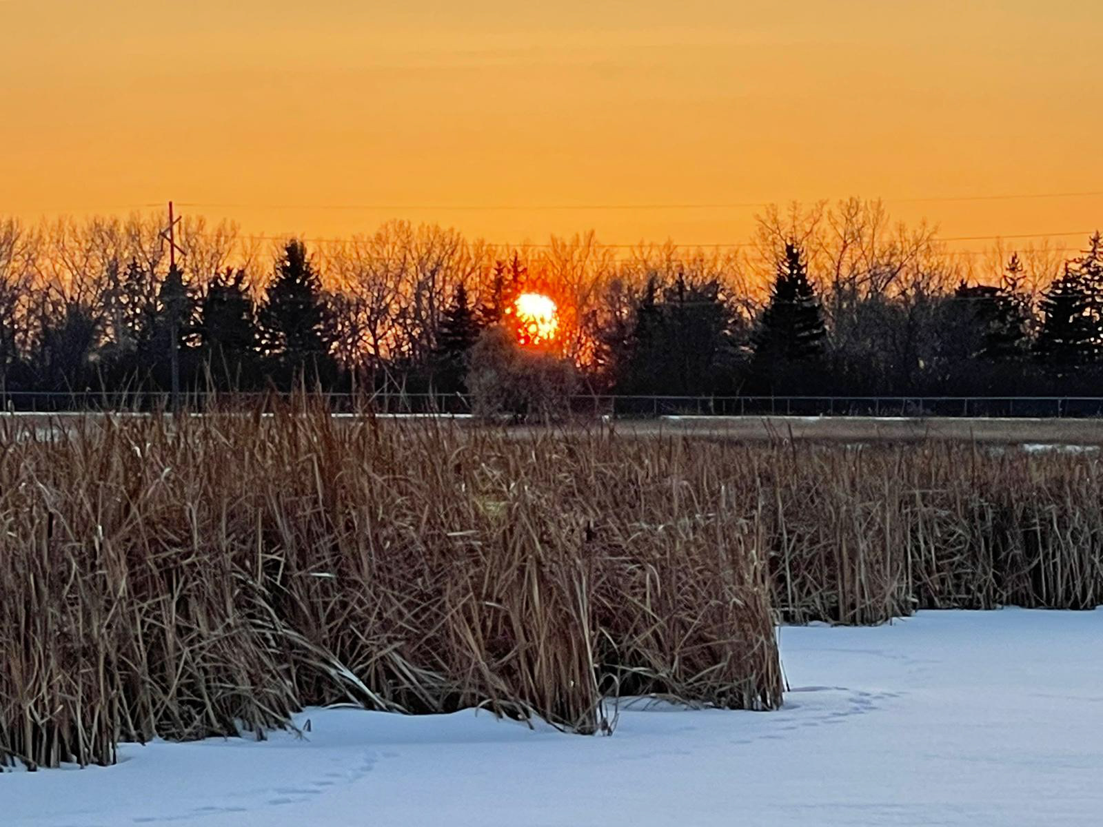 Walks along the creek photo by Ted Saczek