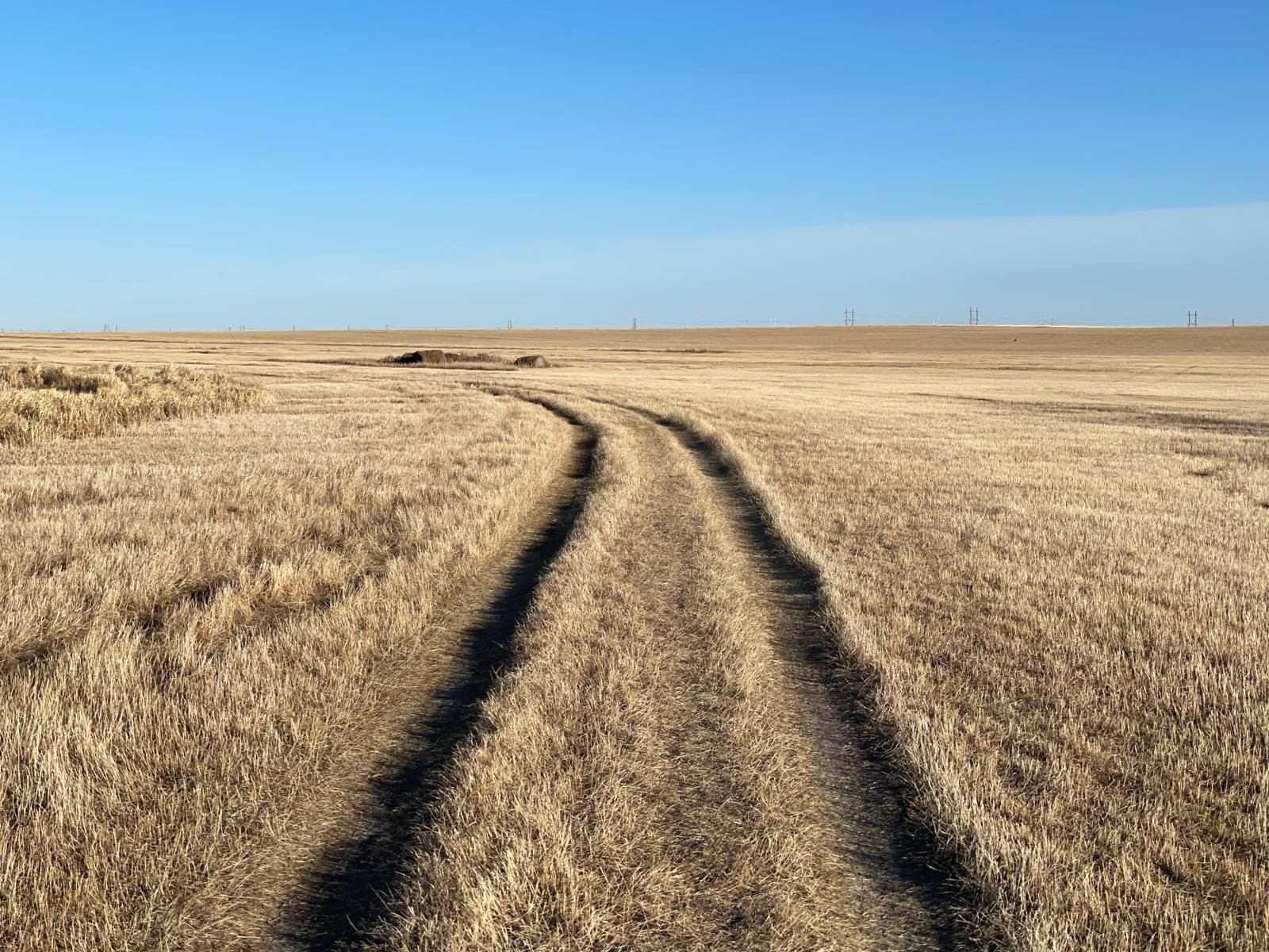 Walks along the creek photo by Ted Saczek