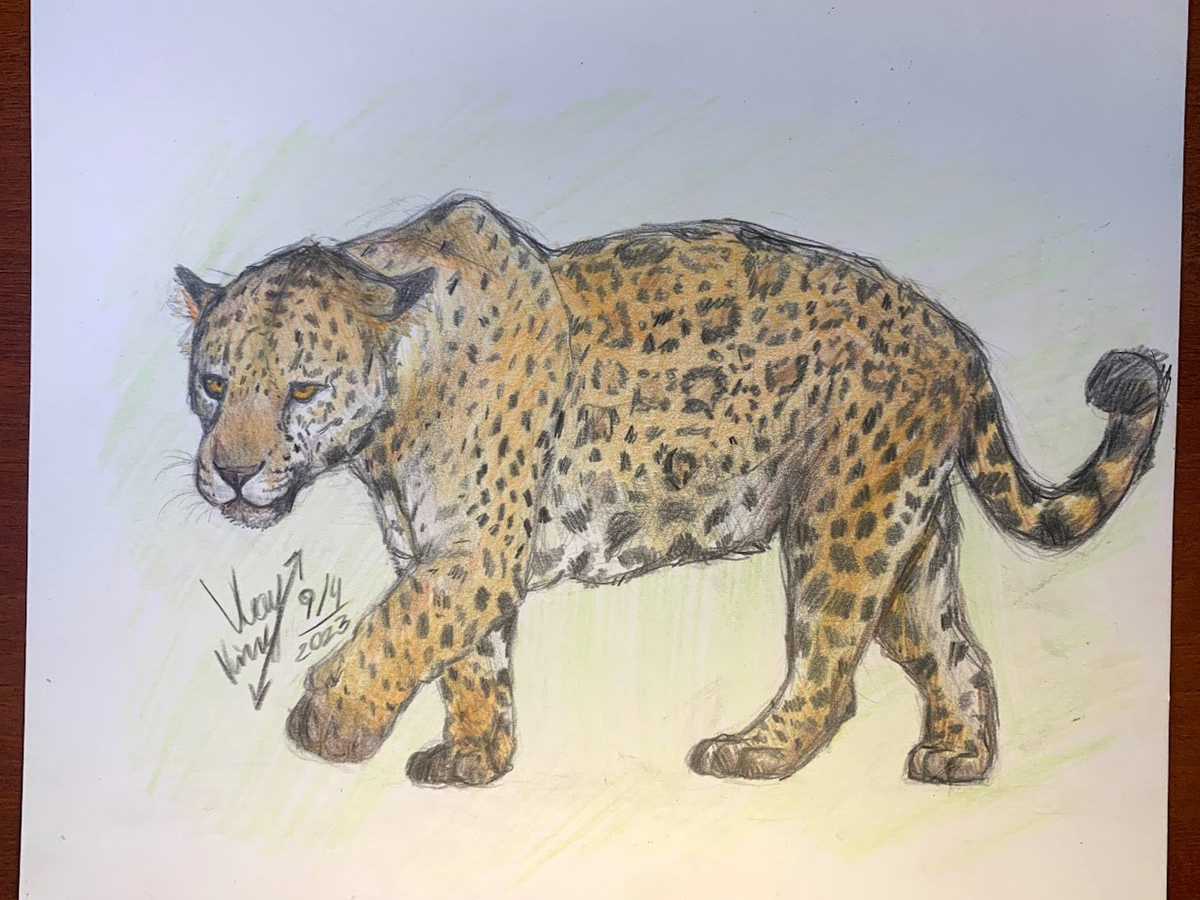 Jaguar