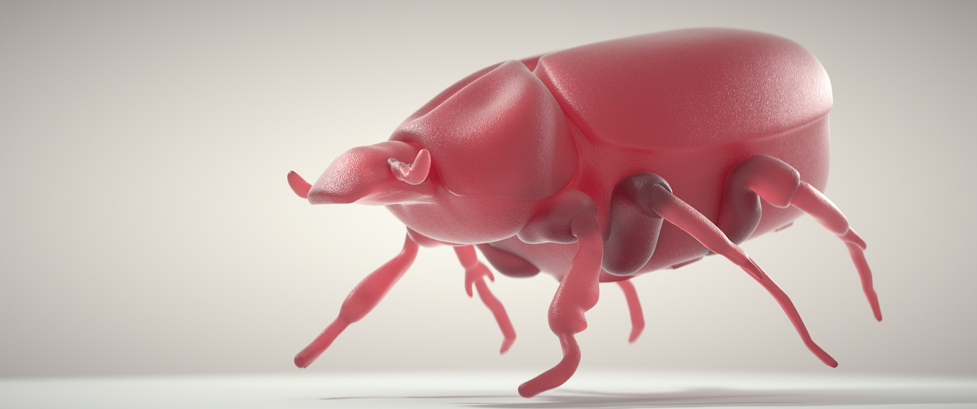 Visualisation of a 3D Print Model "Juchtenkäfer"