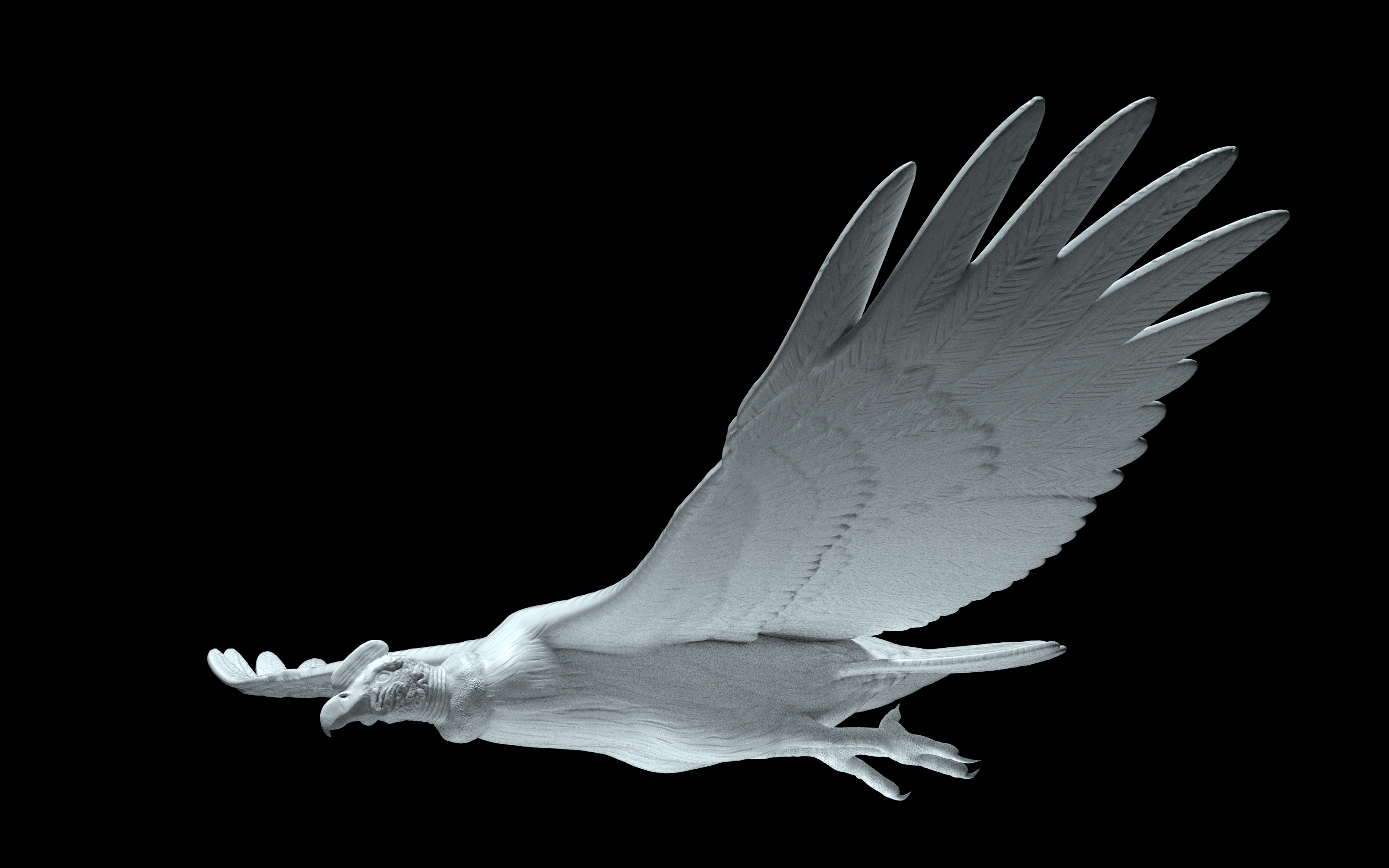 Condor - (Posing basemodel, sculpting detailed surfaces for 3D Print production in lifesize)