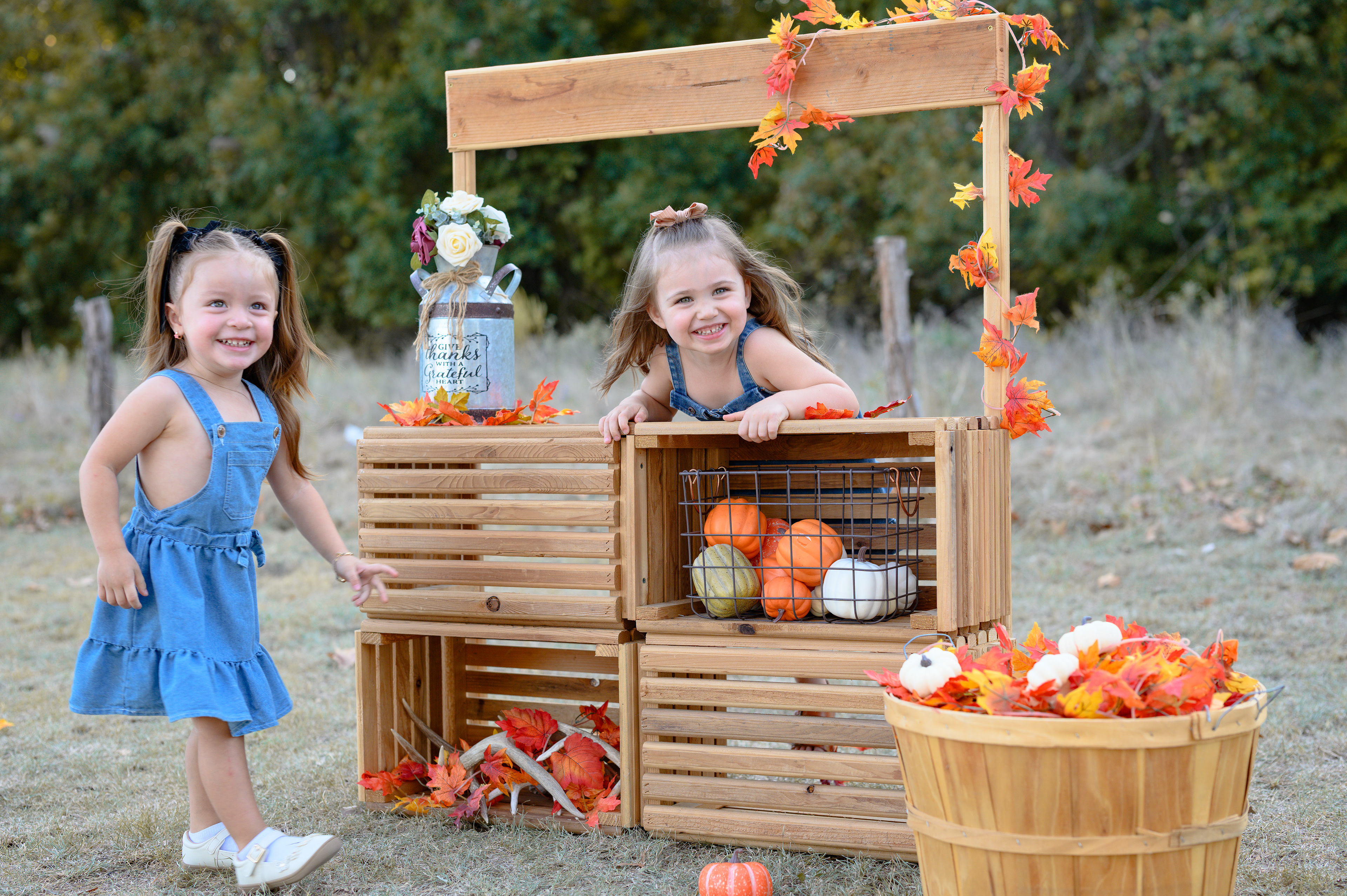 Fall Mini Session