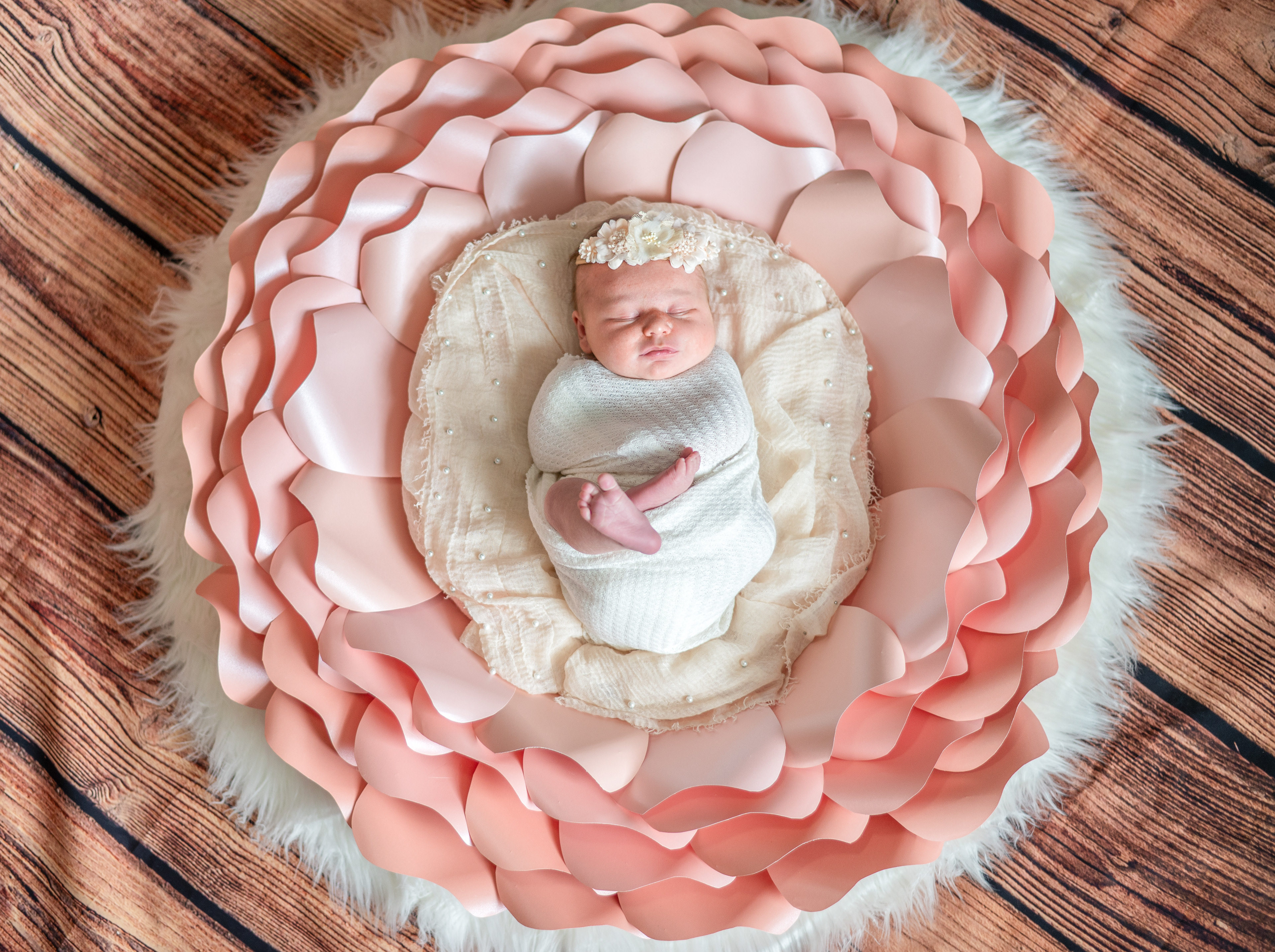 Newborn Photography