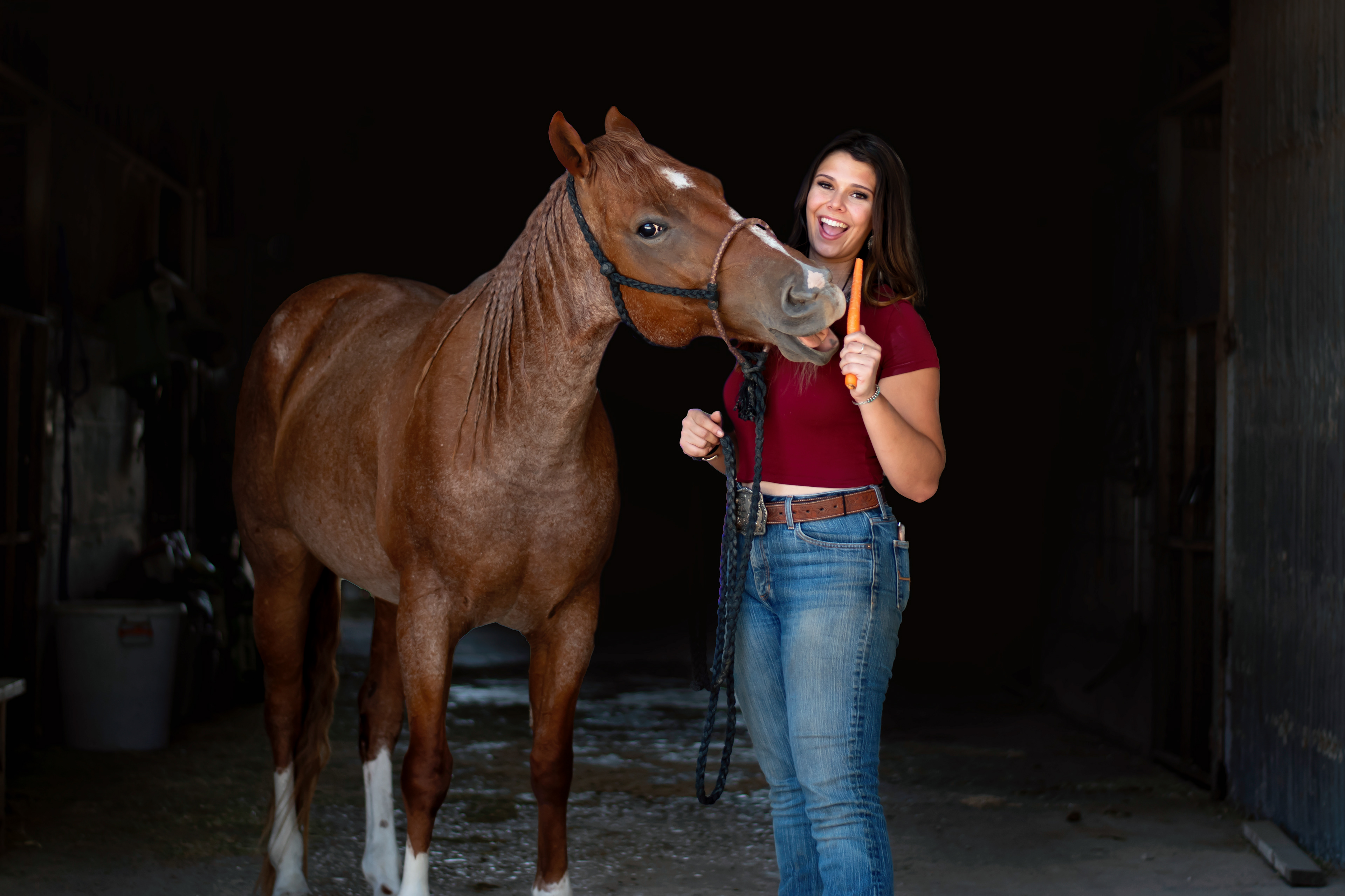 Equine Photography