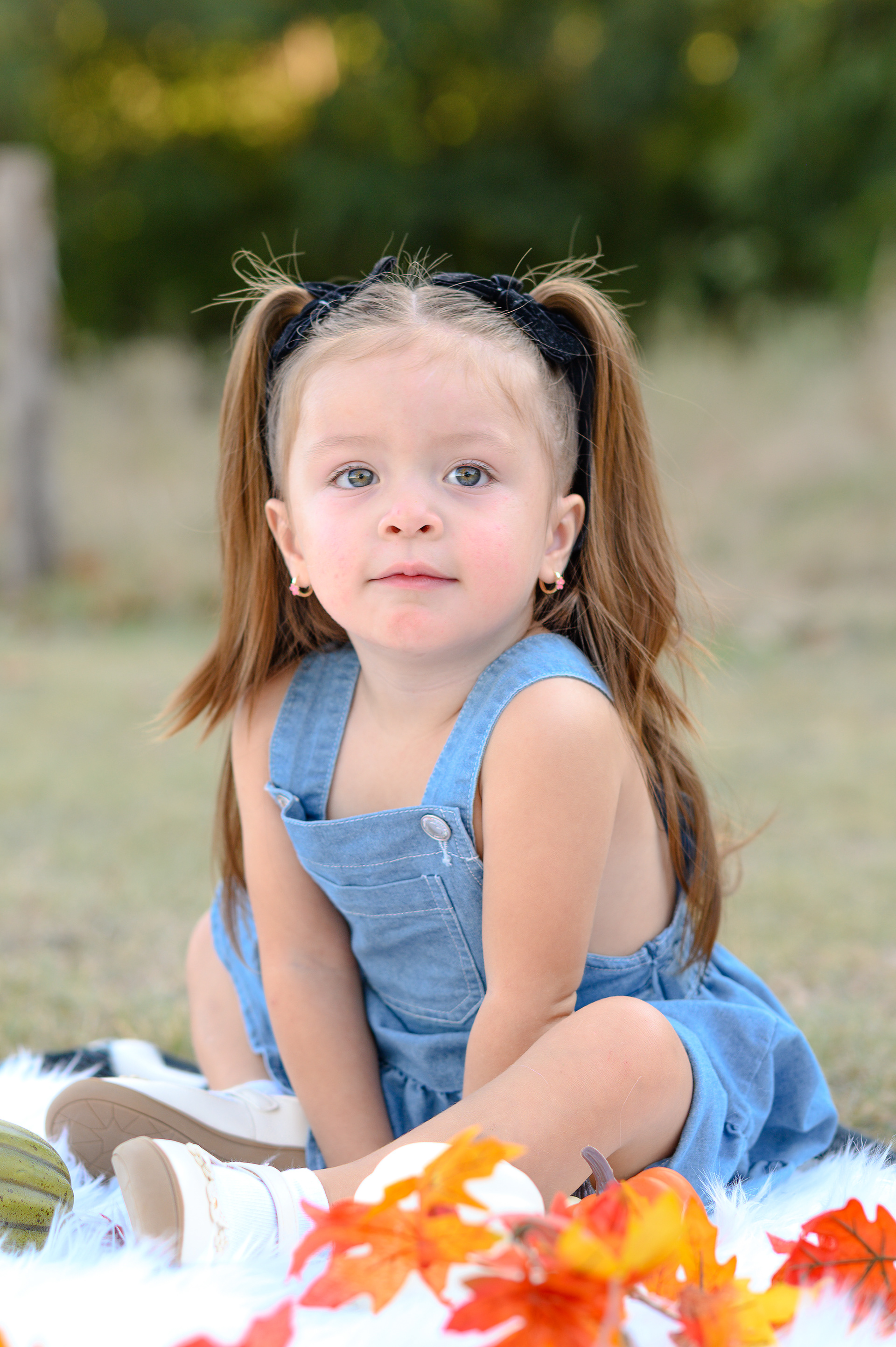 Fall Mini Session