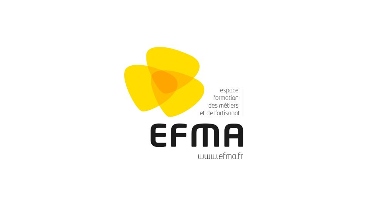 Formation à Bourgoin-Jallieu (38) sur le logiciel Adobe Illustrator