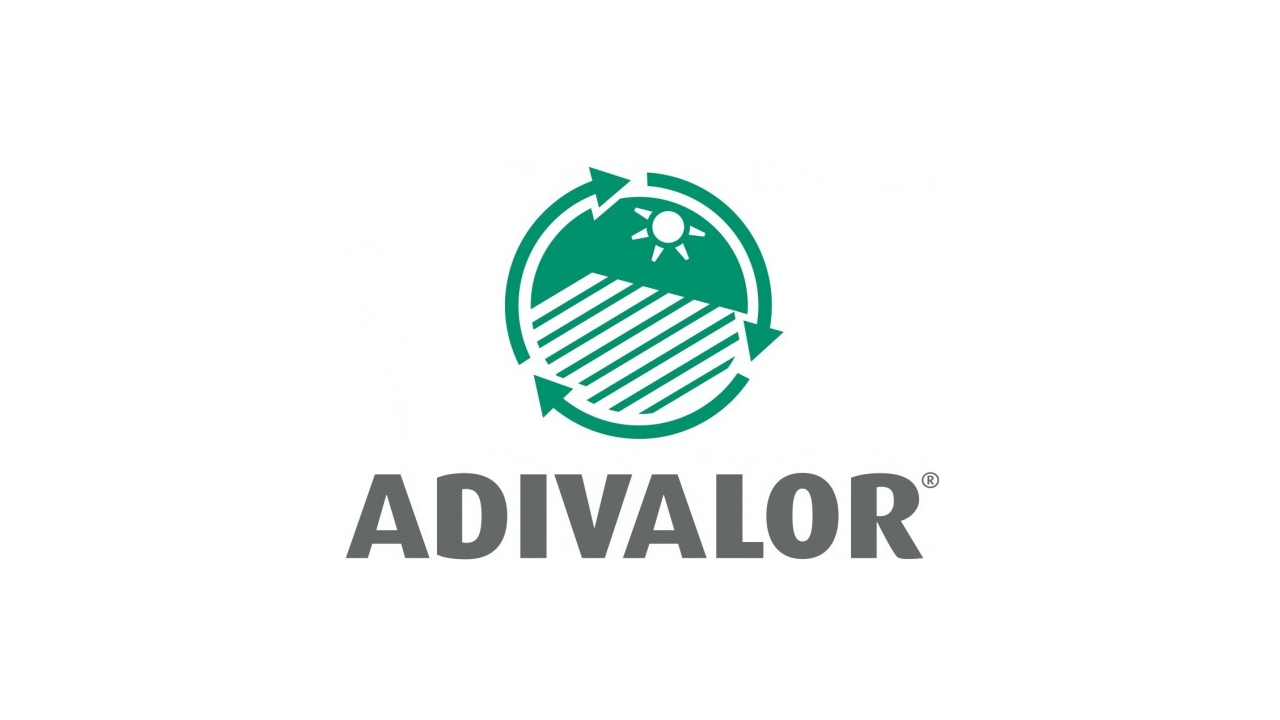 Formation à Lyon (69) : réussir ses photos avec un smartphone pour mieux communiquer