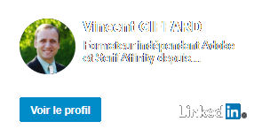 Vincent GIFFARD, formateur indépendant Adobe et Serif Affinity depuis 2013. Cliquer pour voir le profil LinkedIn.